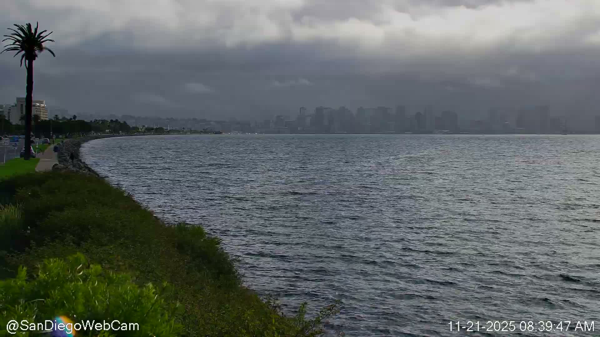 San Diego City Dowtown  from San Diego Bay Panaromic Live Cam -  Harbor Island, San Diego, San Diego County, California, USA