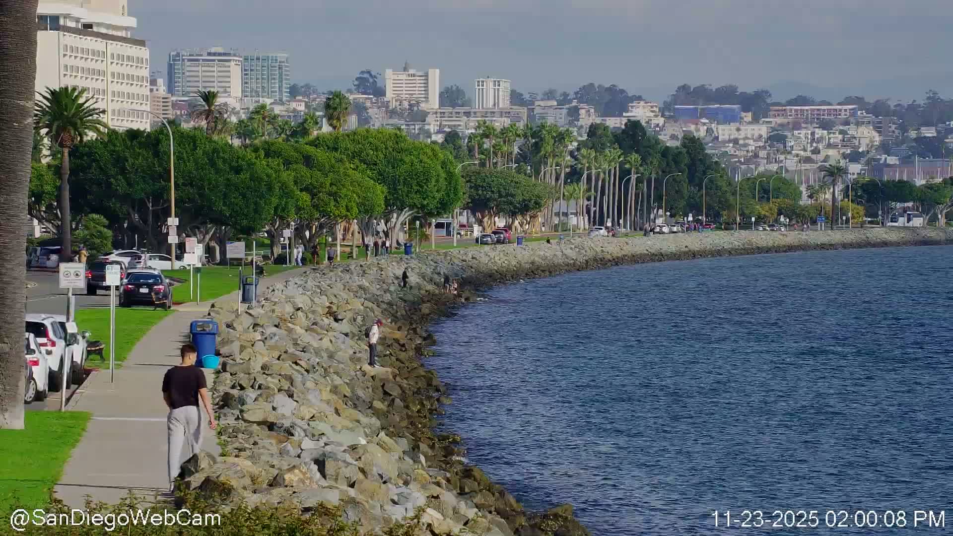 San Diego City Dowtown  from San Diego Bay Panaromic Live Cam -  Harbor Island, San Diego, San Diego County, California, USA