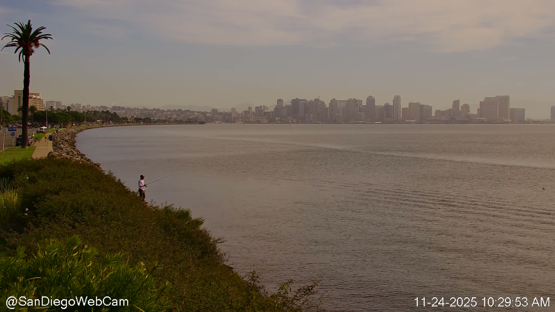 San Diego City Dowtown  from San Diego Bay Panaromic Live Cam -  Harbor Island, San Diego, San Diego County, California, USA