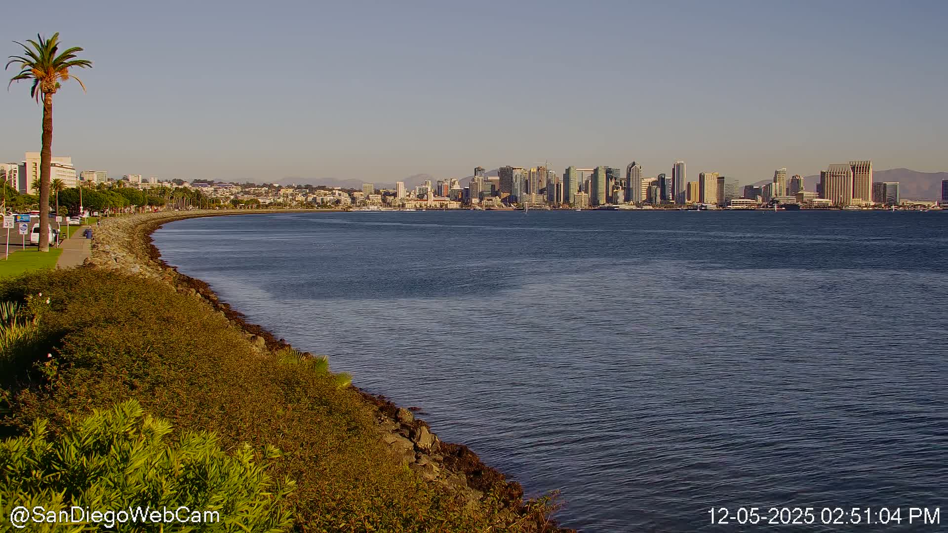 San Diego City Dowtown  from San Diego Bay Panaromic Live Cam -  Harbor Island, San Diego, San Diego County, California, USA