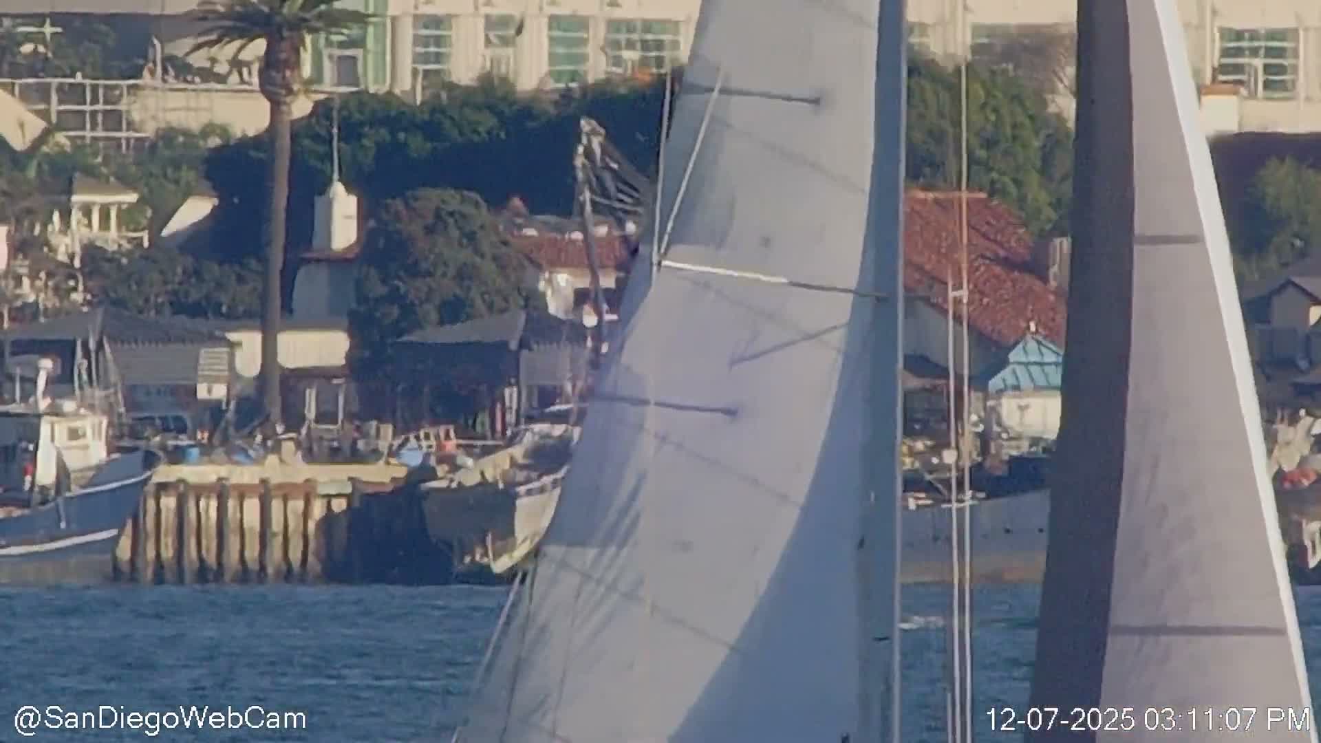 San Diego City Dowtown  from San Diego Bay Panaromic Live Cam -  Harbor Island, San Diego, San Diego County, California, USA