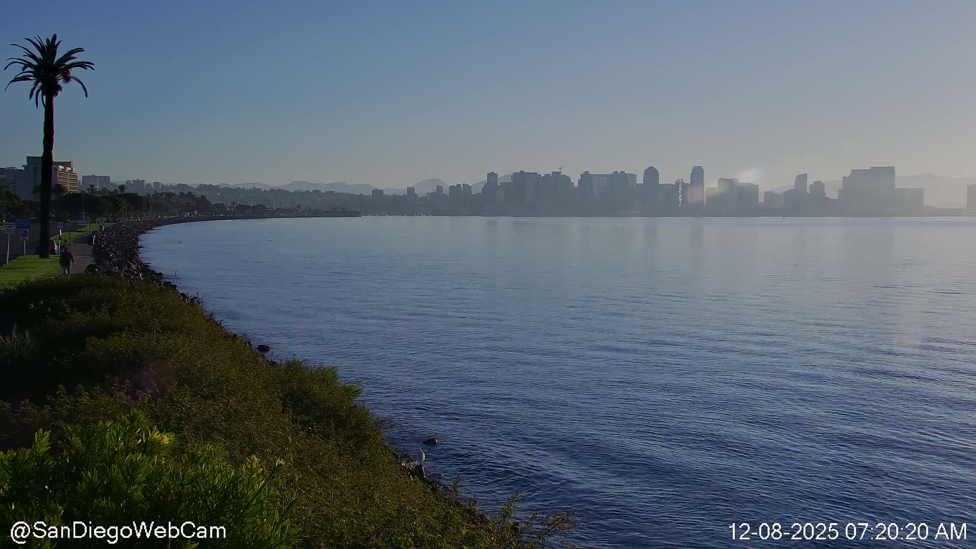 San Diego City Dowtown  from San Diego Bay Panaromic Live Cam -  Harbor Island, San Diego, San Diego County, California, USA