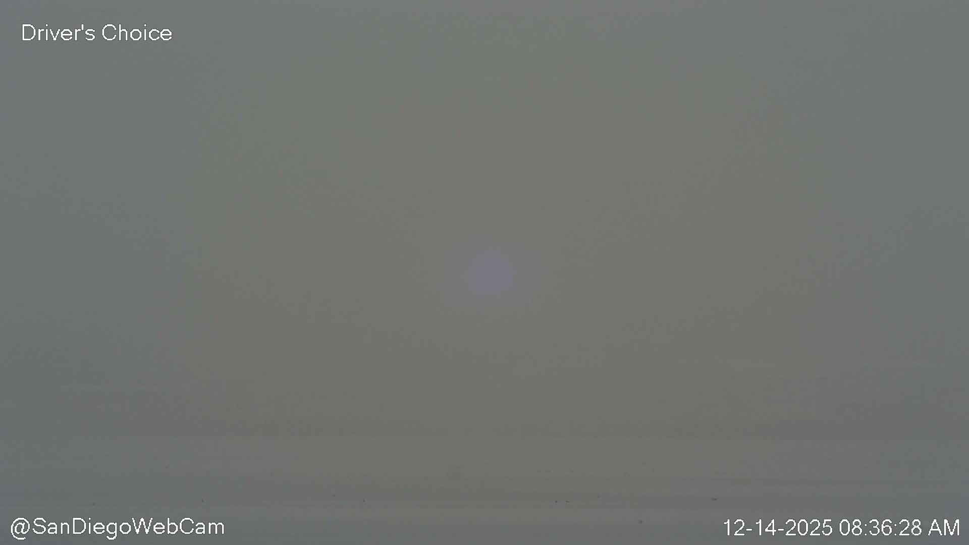 A hazy night scene features a waterfront reflecting numerous yellow city lights, with dark silhouettes of buildings and a large domed structure visible across the water.