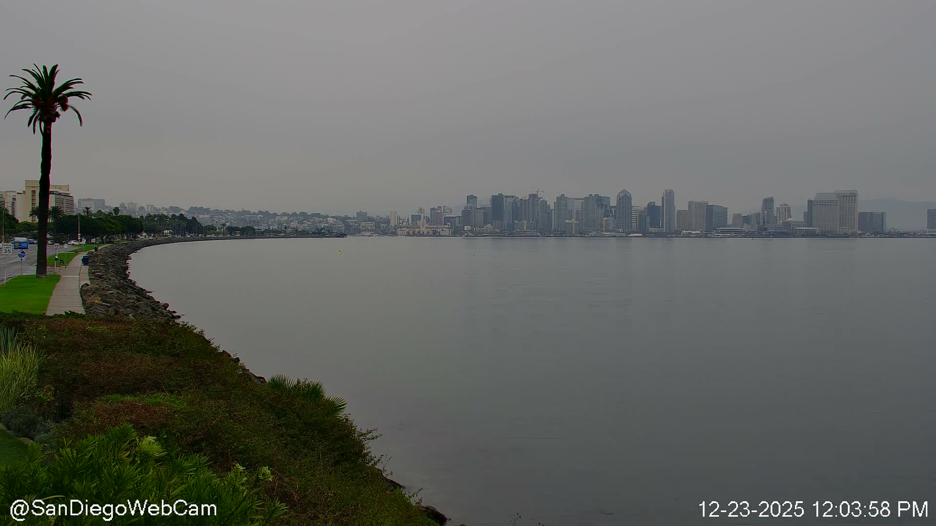 San Diego City Dowtown  from San Diego Bay Panaromic Live Cam -  Harbor Island, San Diego, San Diego County, California, USA