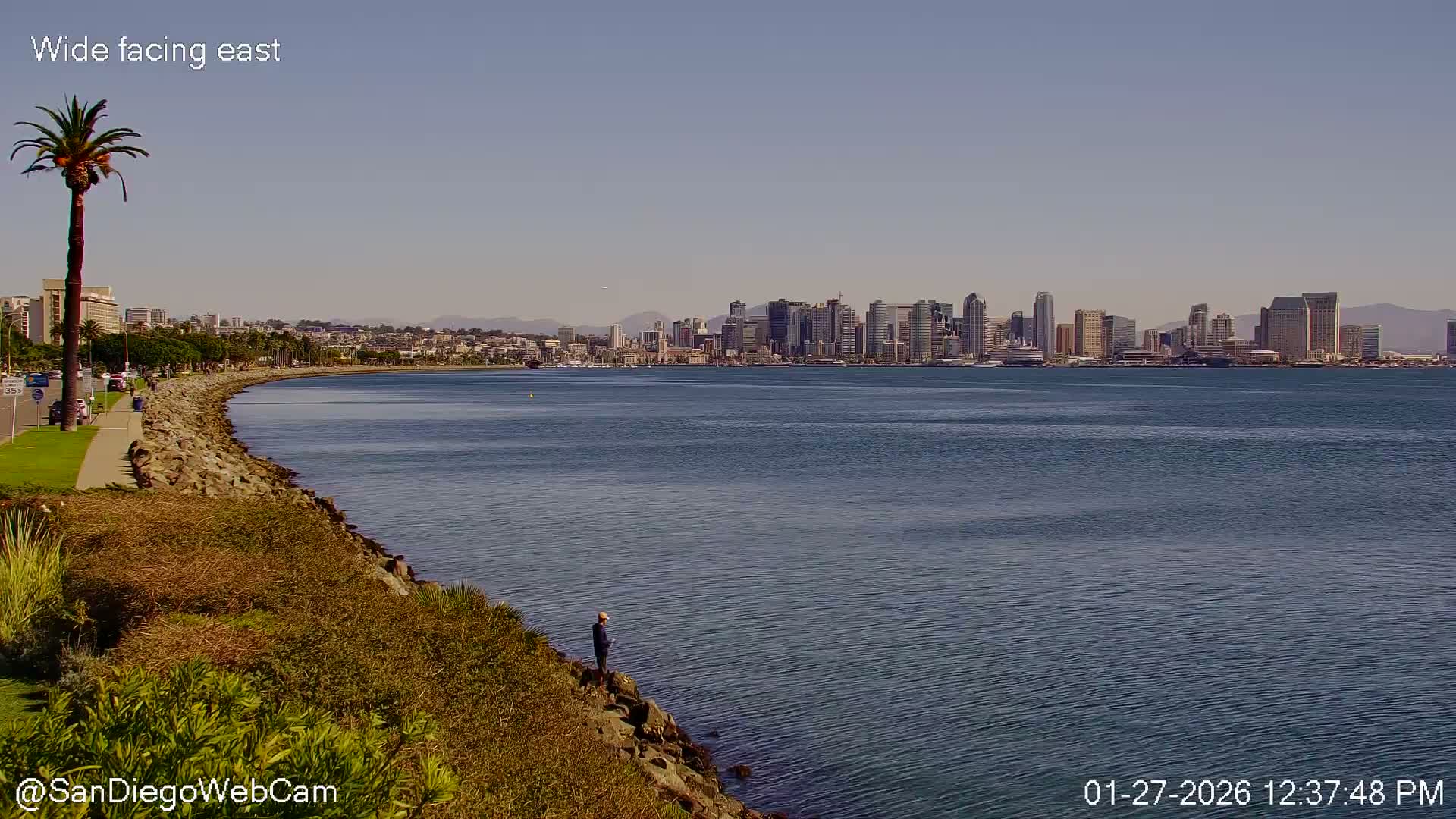 San Diego City Dowtown  from San Diego Bay Panaromic Live Cam -  Harbor Island, San Diego, San Diego County, California, USA
