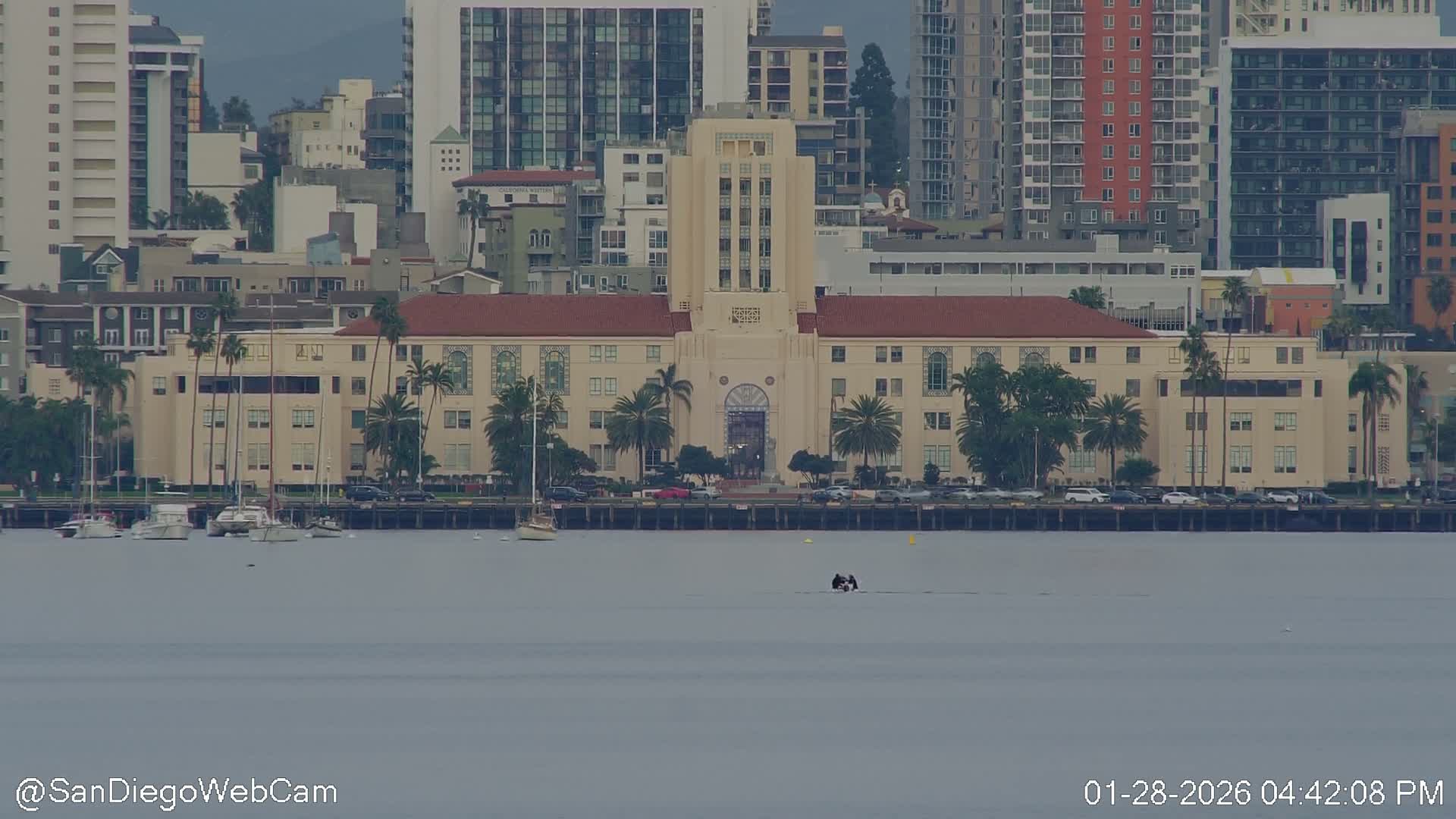 San Diego City Dowtown  from San Diego Bay Panaromic Live Cam -  Harbor Island, San Diego, San Diego County, California, USA