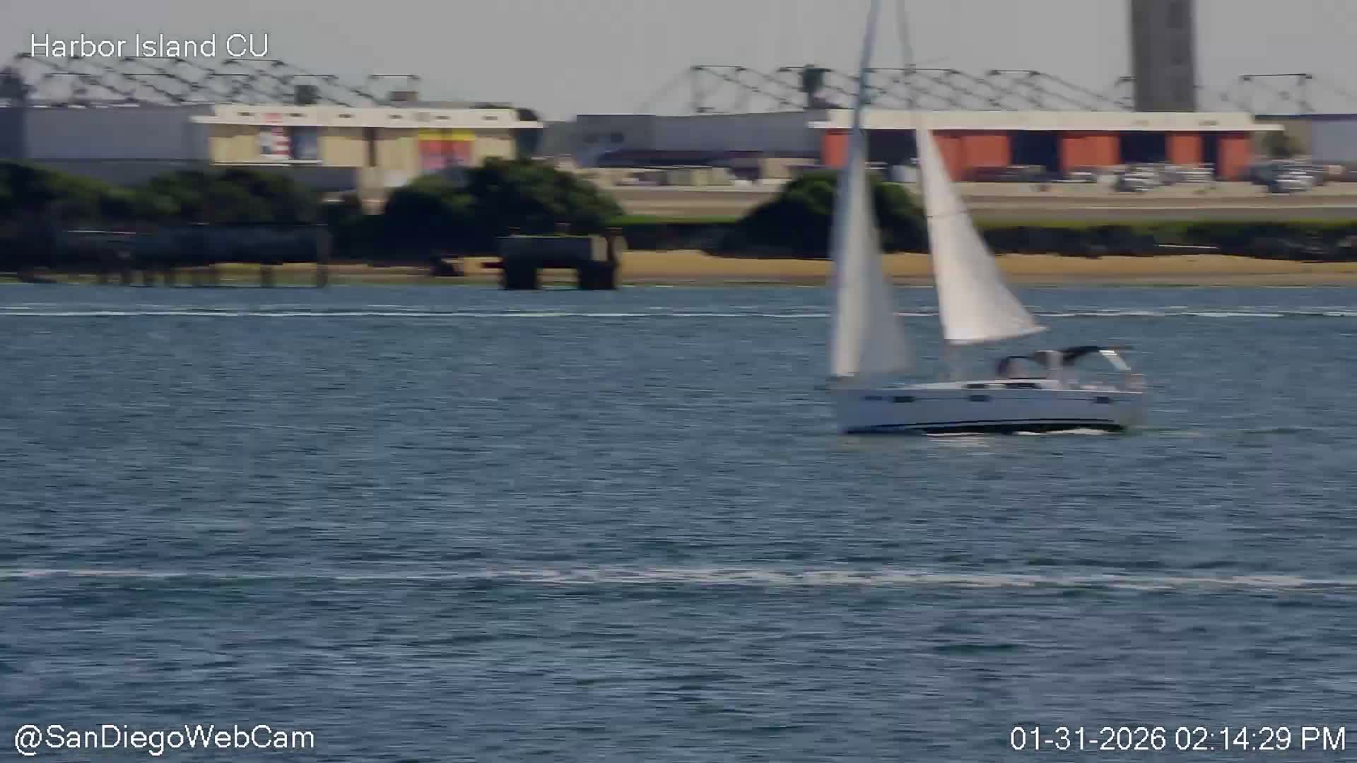 San Diego City Dowtown  from San Diego Bay Panaromic Live Cam -  Harbor Island, San Diego, San Diego County, California, USA