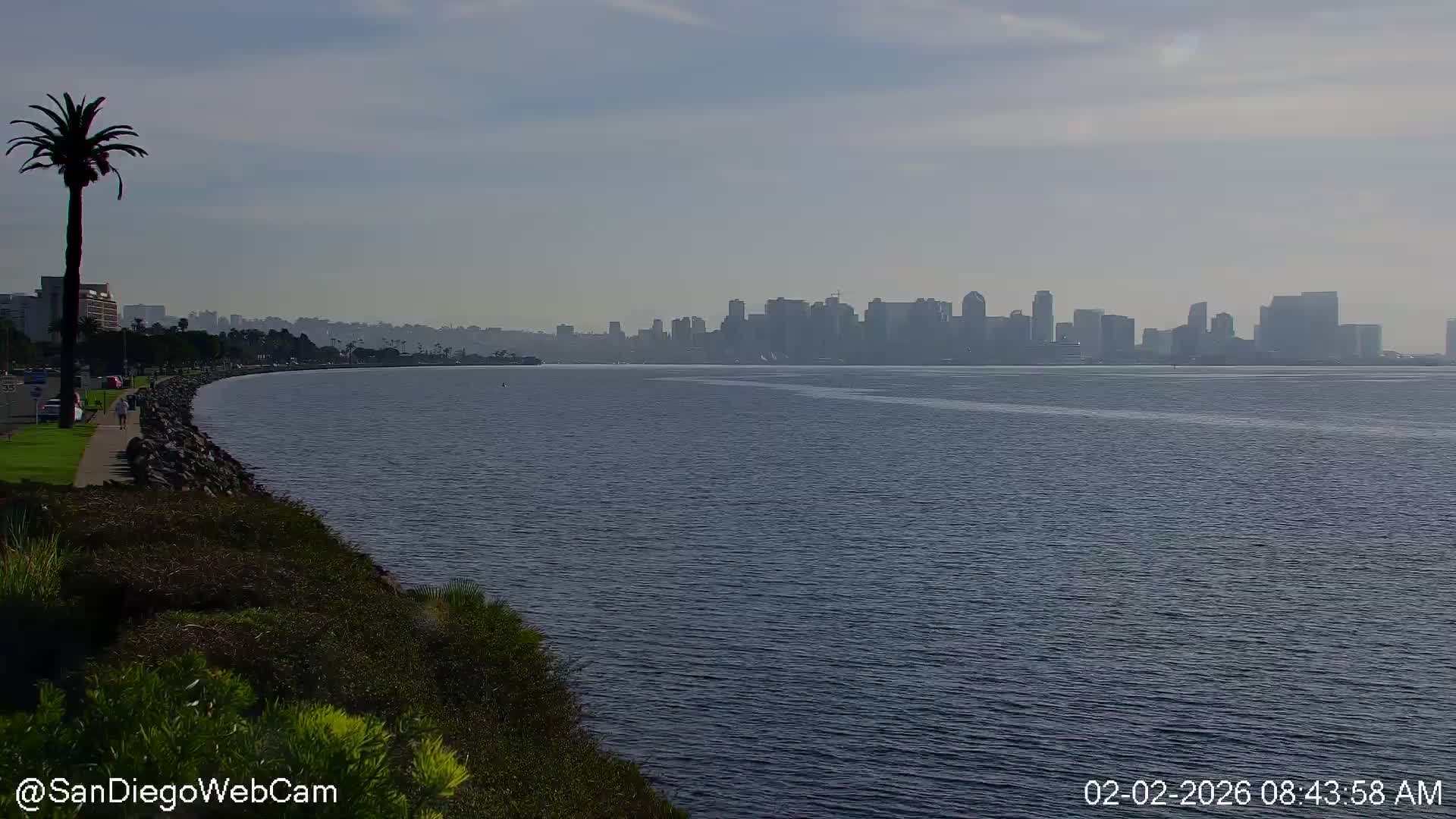 San Diego City Dowtown  from San Diego Bay Panaromic Live Cam -  Harbor Island, San Diego, San Diego County, California, USA