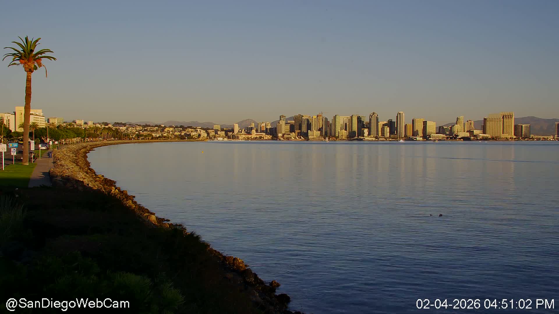 San Diego City Dowtown  from San Diego Bay Panaromic Live Cam -  Harbor Island, San Diego, San Diego County, California, USA