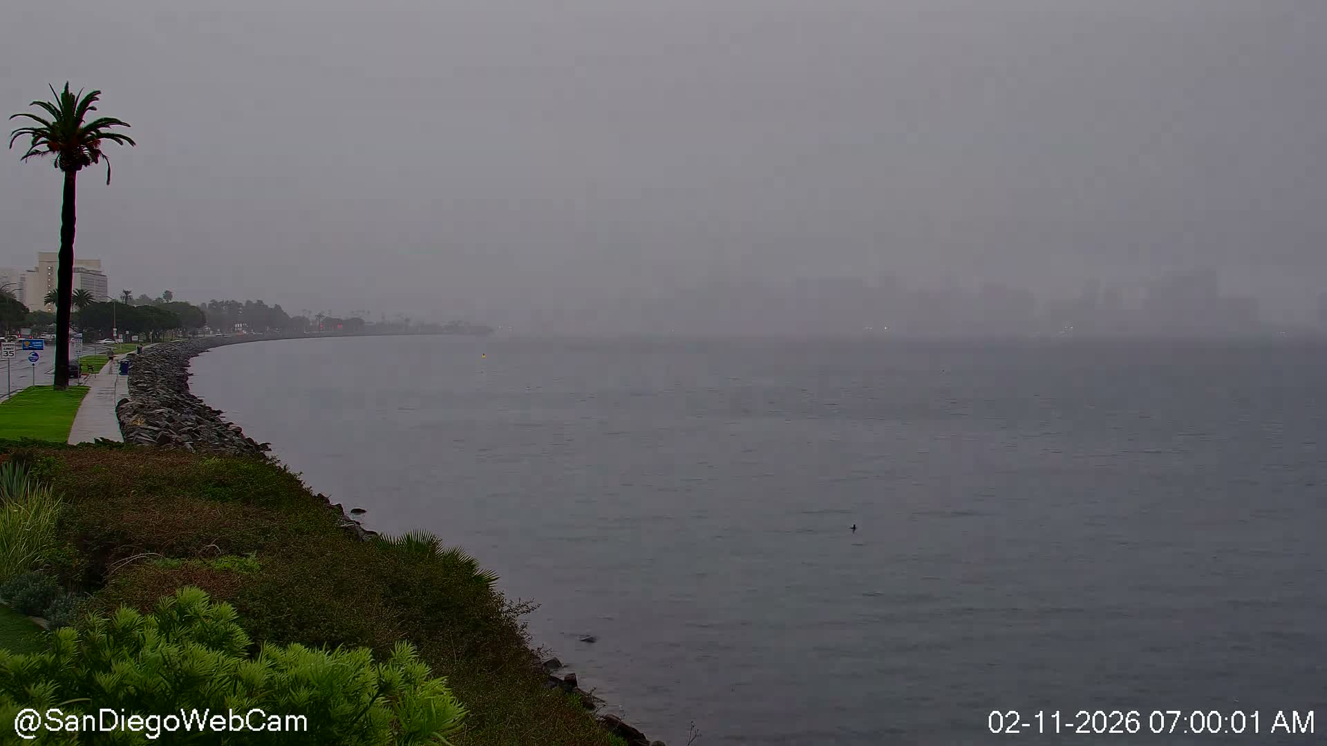 San Diego City Dowtown  from San Diego Bay Panaromic Live Cam -  Harbor Island, San Diego, San Diego County, California, USA