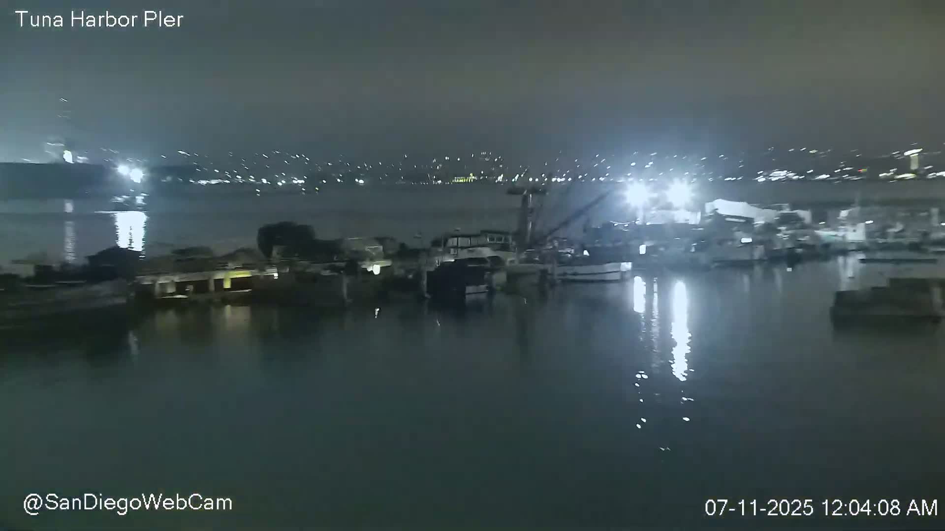 A nighttime harbor scene shows numerous boats moored at a pier, with city lights visible in the distance under a hazy sky.
