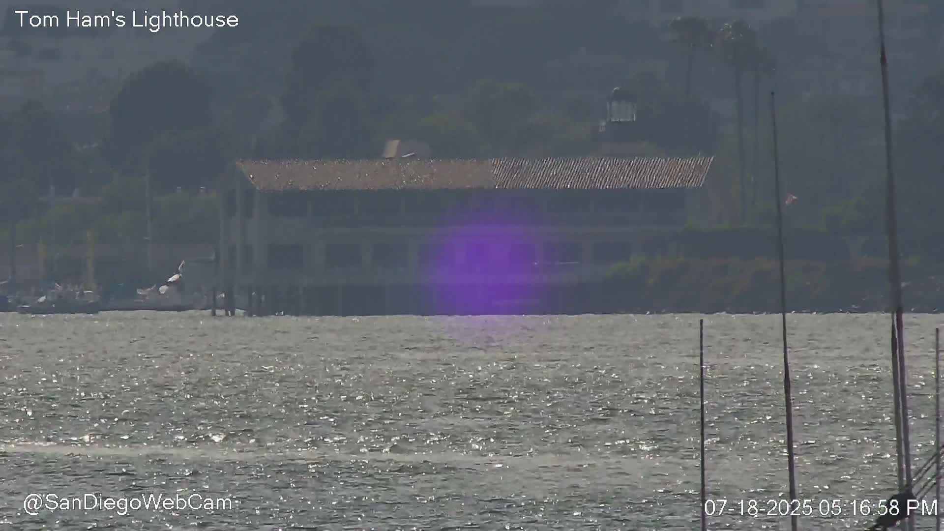 San Diego, Coronado Bridge & Sant Diego City & Bay Skyline View Live Cam - Downtown, San Diego, San Diego County, California, USA