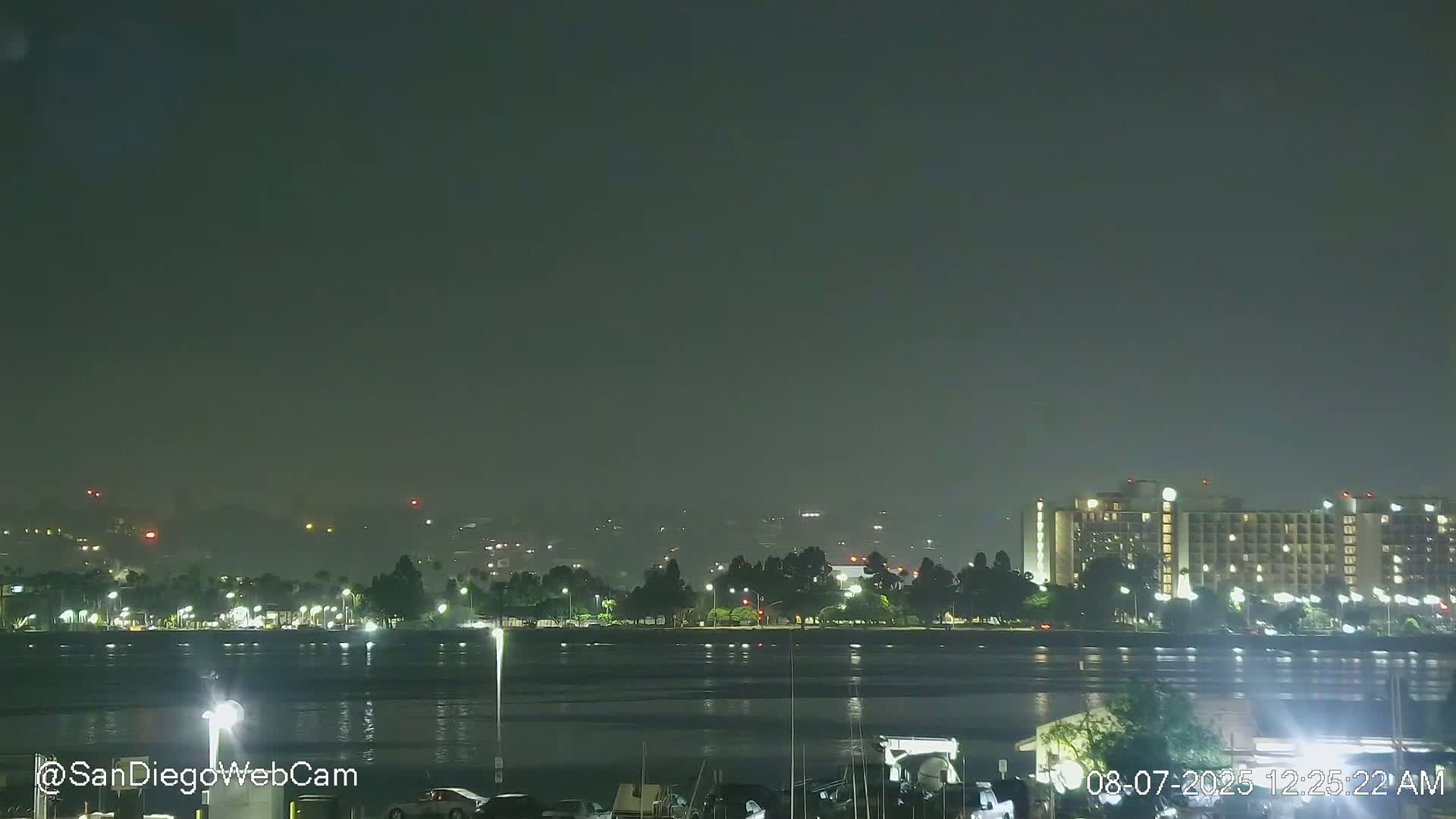 A hazy night scene shows a body of water with a cityscape of illuminated buildings and trees across the water, under a dark sky.