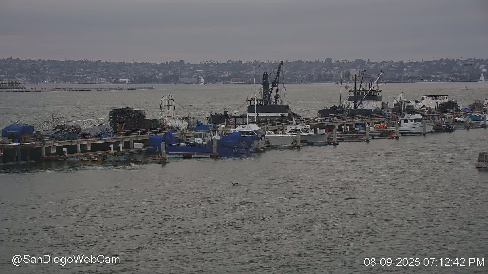San Diego, Coronado Bridge & Sant Diego City & Bay Skyline View Live Cam - Downtown, San Diego, San Diego County, California, USA