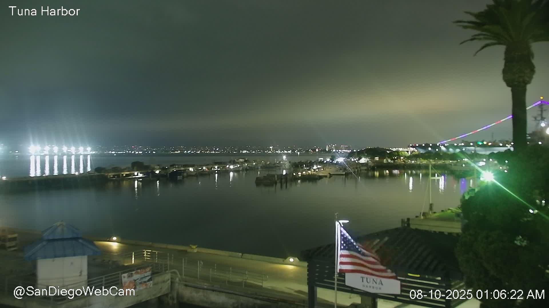 A nighttime harbor scene shows a calm body of water with docked boats, illuminated piers, and a city skyline in the distance under a hazy sky.
