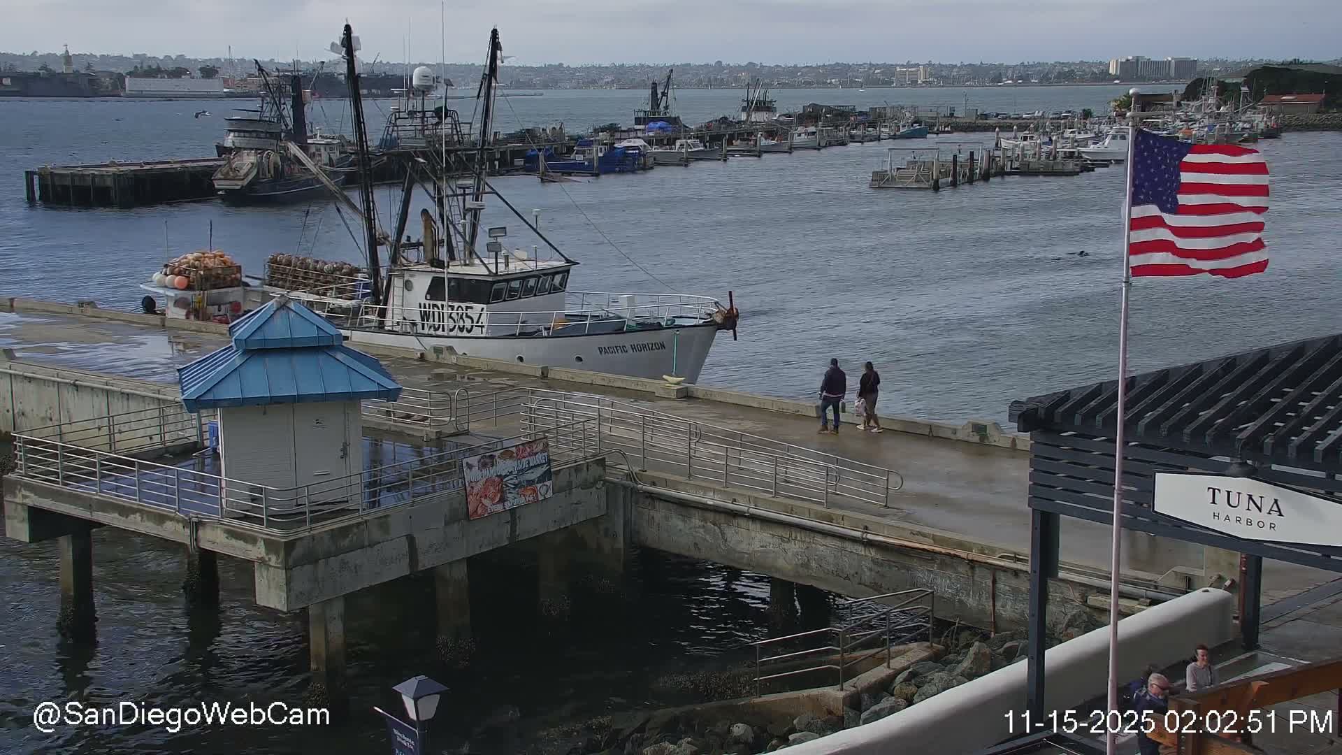 San Diego, Coronado Bridge & Sant Diego City & Bay Skyline View Live Cam - Downtown, San Diego, San Diego County, California, USA