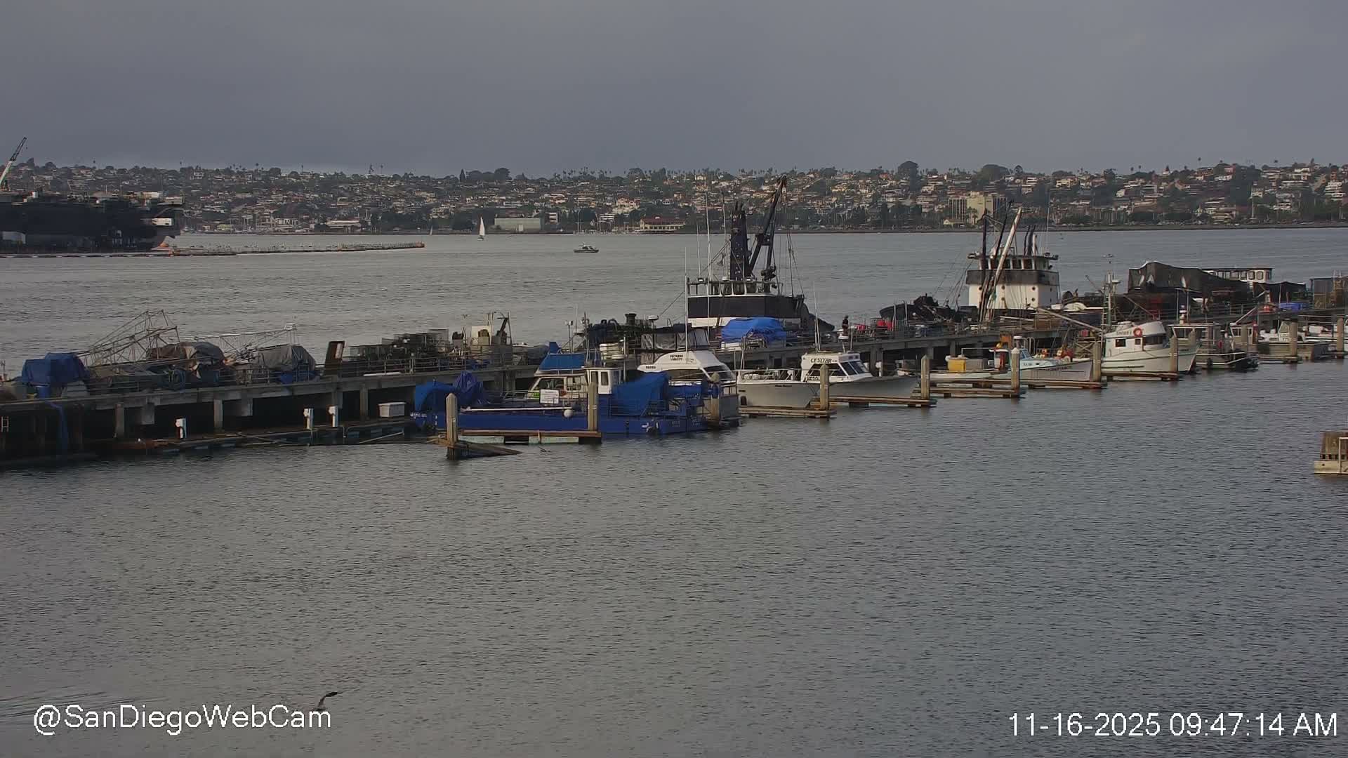 San Diego, Coronado Bridge & Sant Diego City & Bay Skyline View Live Cam - Downtown, San Diego, San Diego County, California, USA