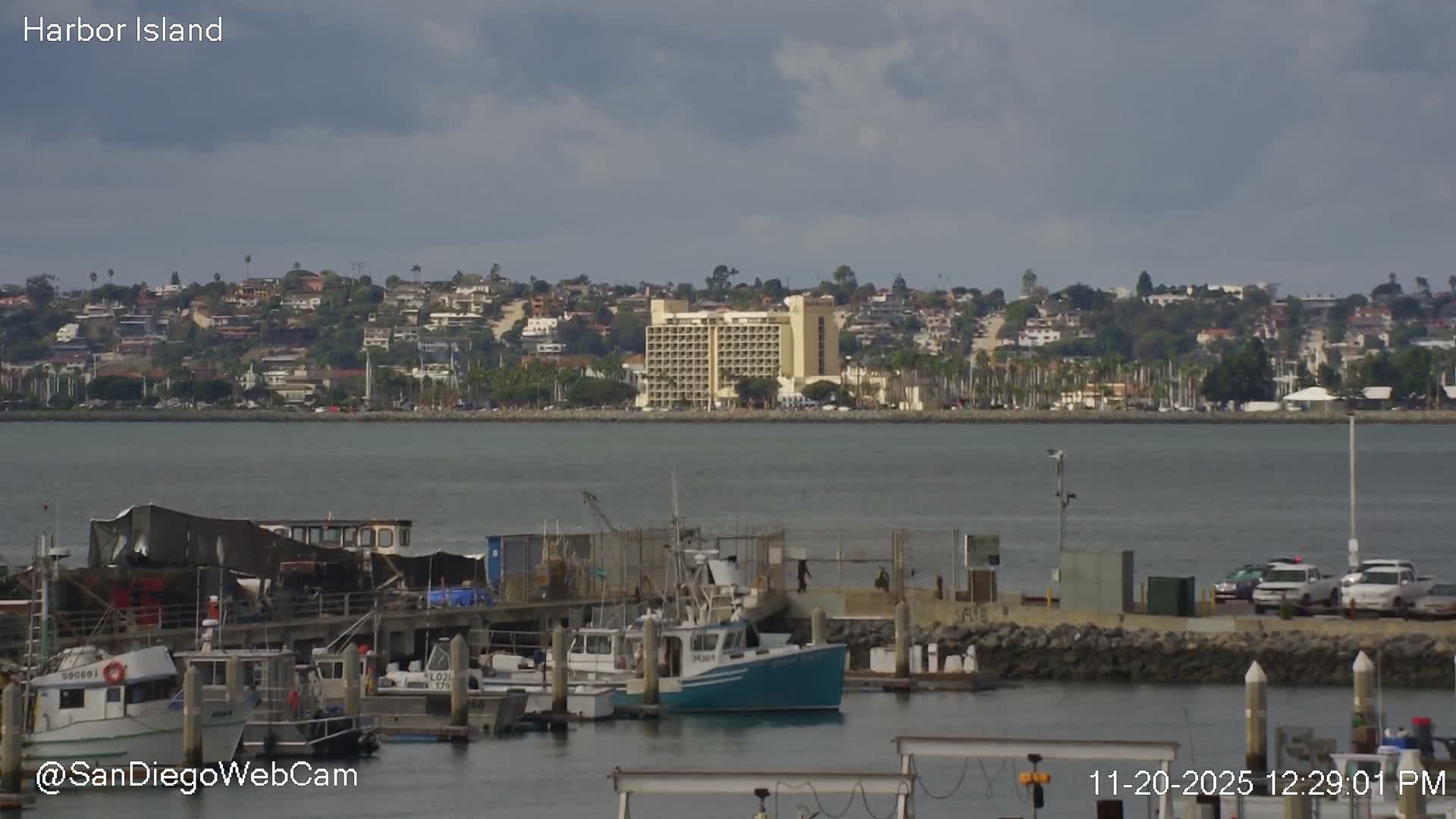 San Diego, Coronado Bridge & Sant Diego City & Bay Skyline View Live Cam - Downtown, San Diego, San Diego County, California, USA