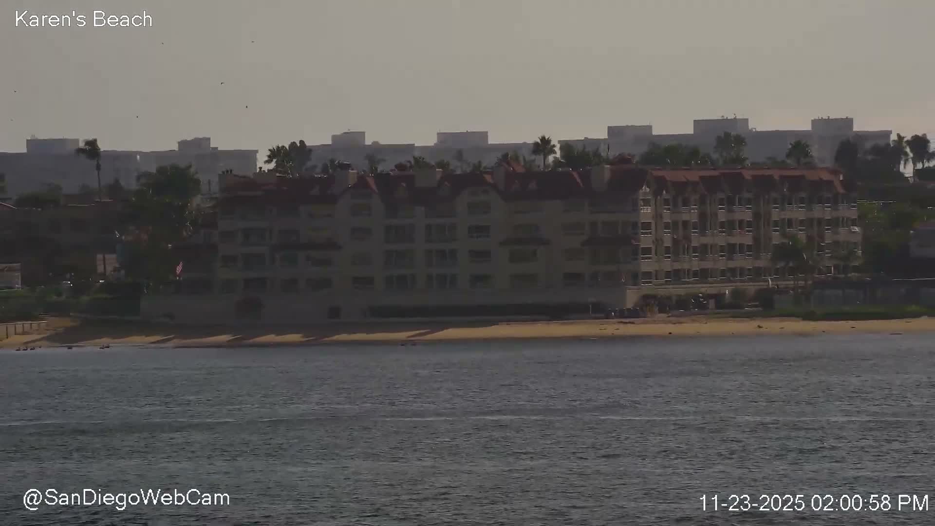 San Diego, Coronado Bridge & Sant Diego City & Bay Skyline View Live Cam - Downtown, San Diego, San Diego County, California, USA