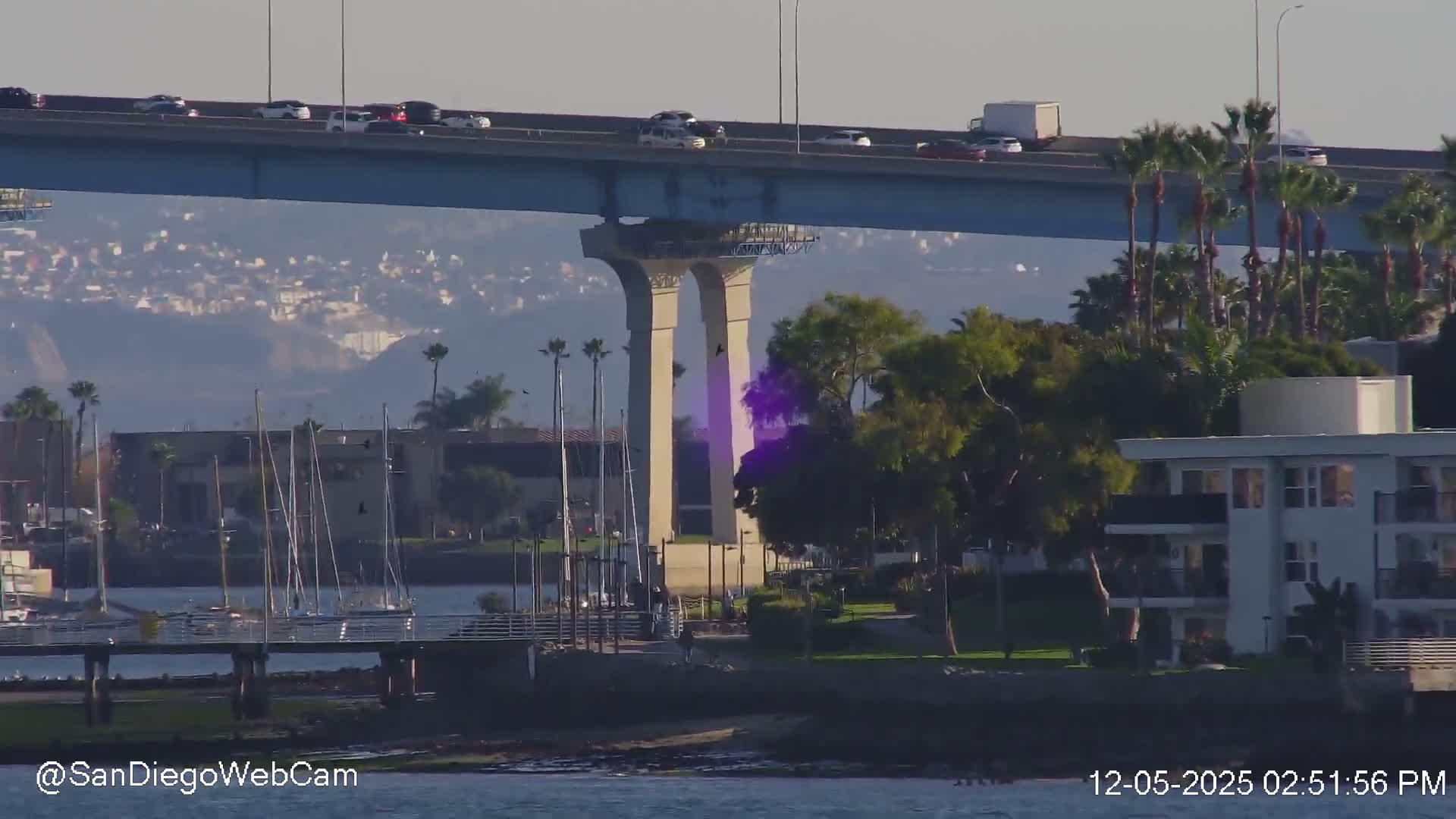San Diego, Coronado Bridge & Sant Diego City & Bay Skyline View Live Cam - Downtown, San Diego, San Diego County, California, USA
