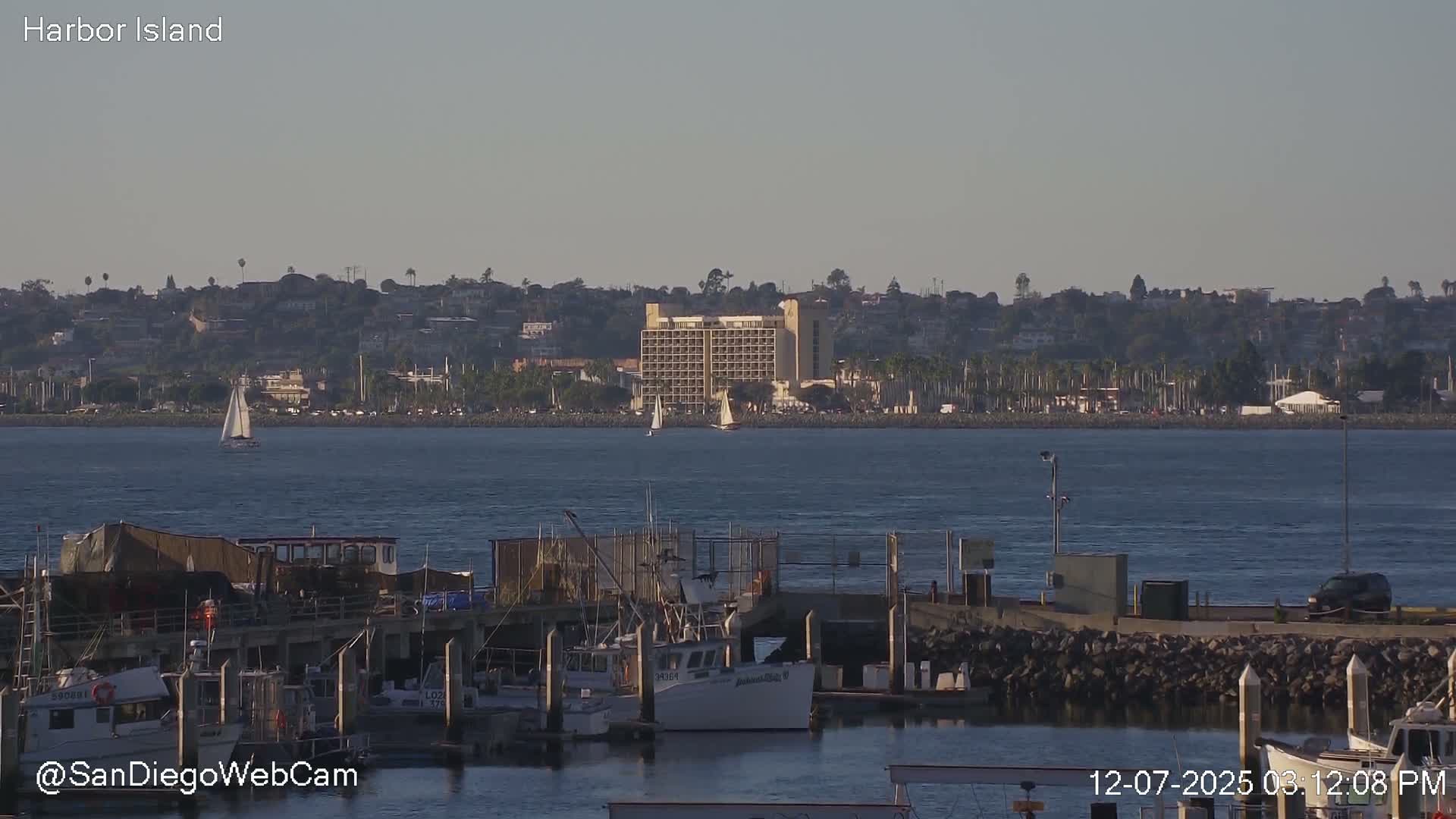 San Diego, Coronado Bridge & Sant Diego City & Bay Skyline View Live Cam - Downtown, San Diego, San Diego County, California, USA