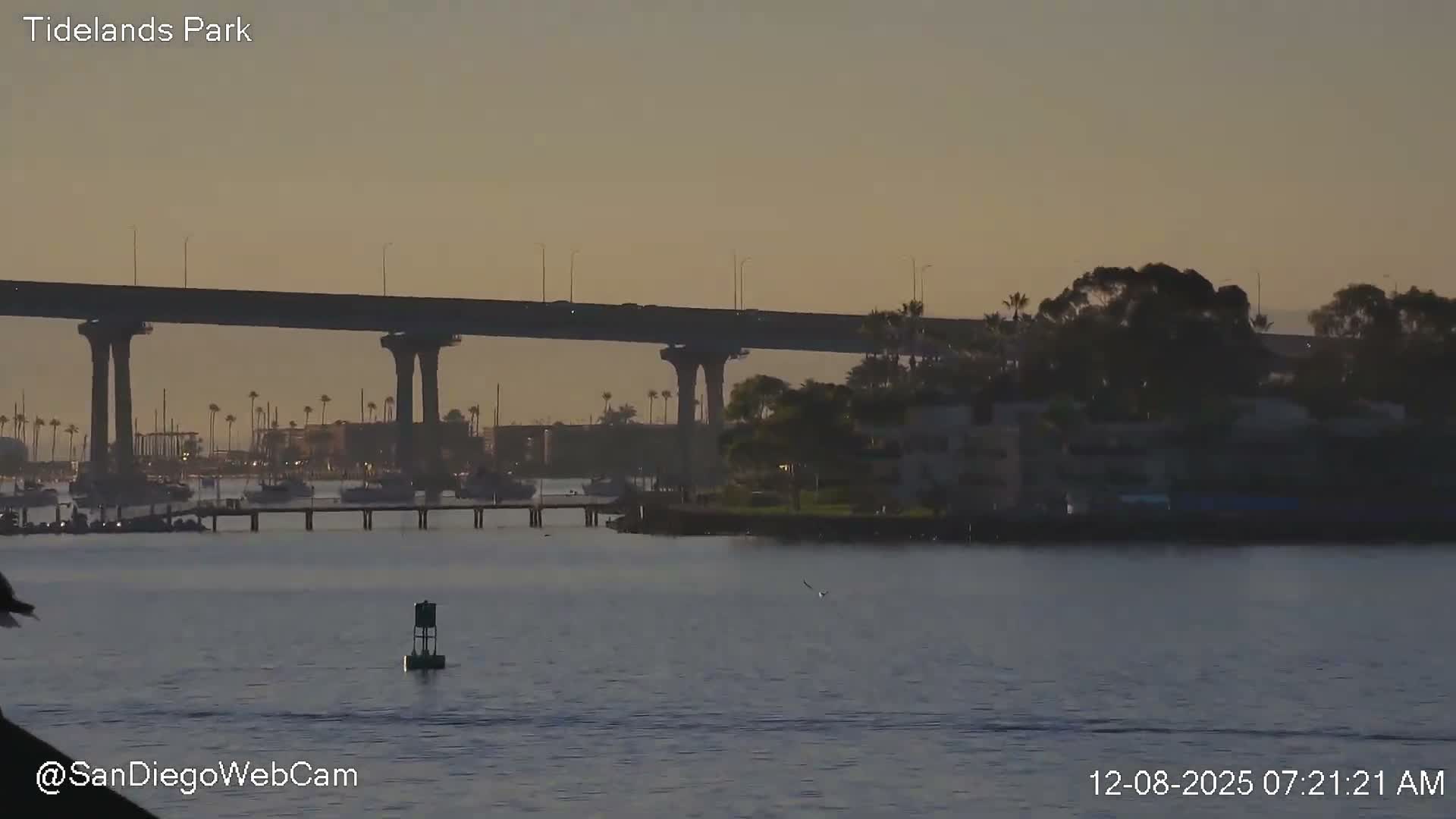 San Diego, Coronado Bridge & Sant Diego City & Bay Skyline View Live Cam - Downtown, San Diego, San Diego County, California, USA