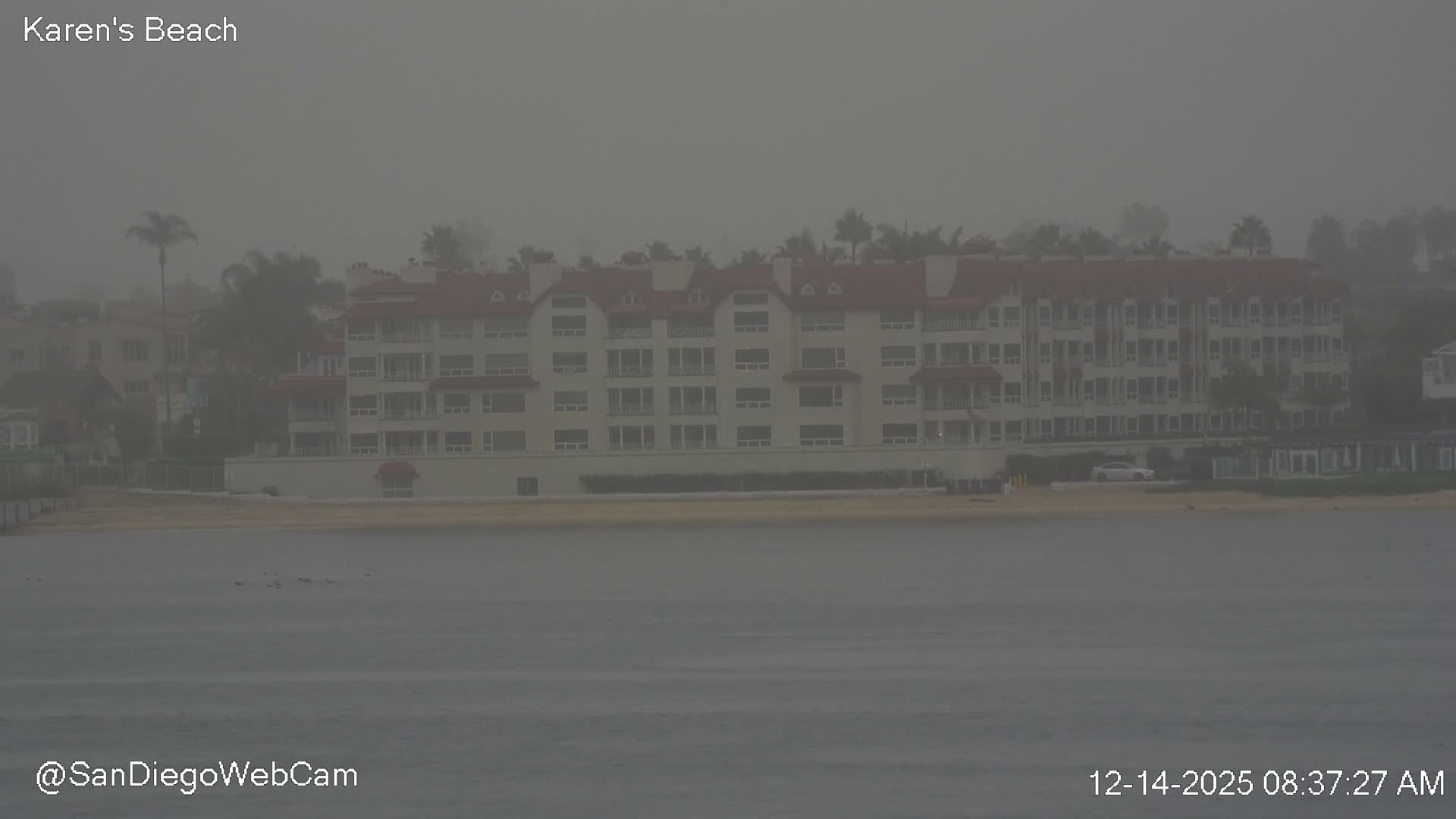 A calm harbor at night is illuminated by numerous bright shore lights reflecting on the water, with several boats docked and ships visible in the distance under a hazy sky.