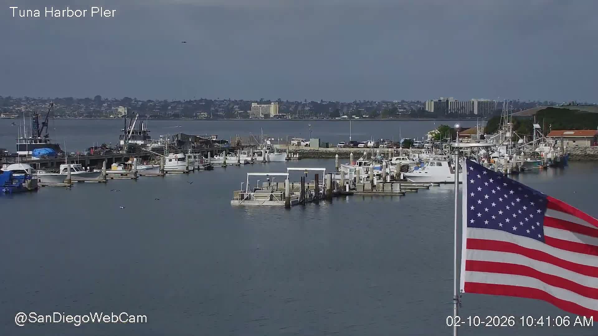 San Diego, Coronado Bridge & Sant Diego City & Bay Skyline View Live Cam - Downtown, San Diego, San Diego County, California, USA