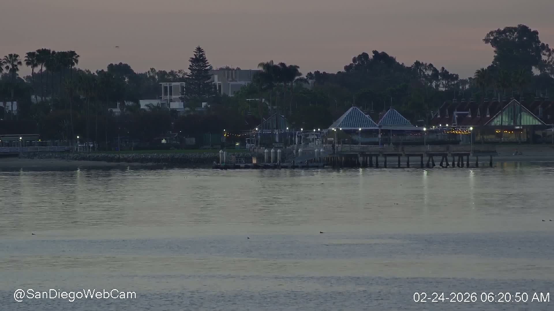 San Diego, Coronado Bridge & Sant Diego City & Bay Skyline View Live Cam - Downtown, San Diego, San Diego County, California, USA