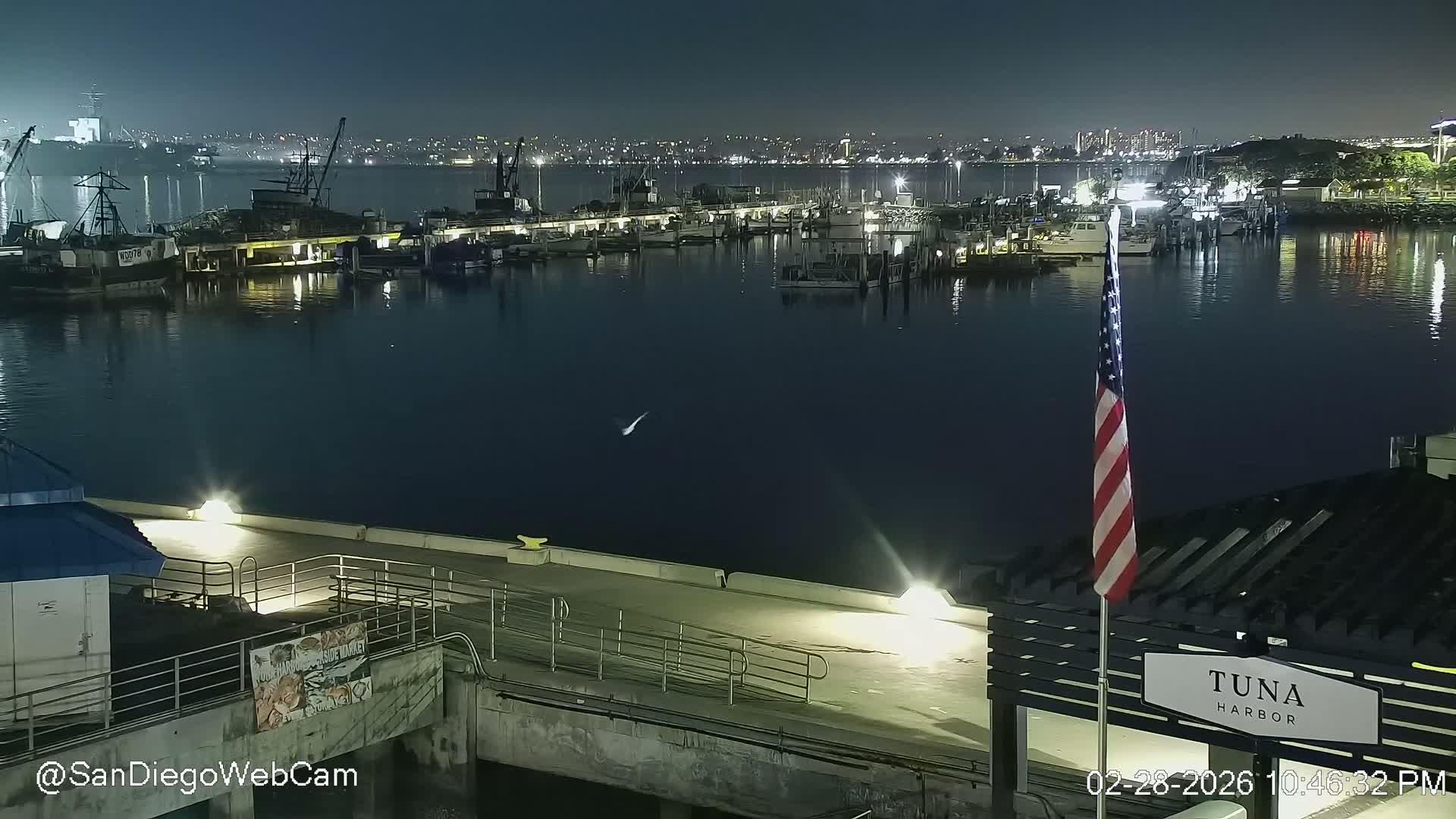 San Diego, Coronado Bridge & Sant Diego City & Bay Skyline View Live Cam - Downtown, San Diego, San Diego County, California, USA