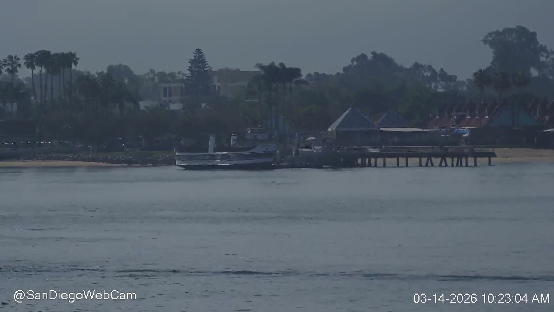 San Diego, Coronado Bridge & Sant Diego City & Bay Skyline View Live Cam - Downtown, San Diego, San Diego County, California, USA