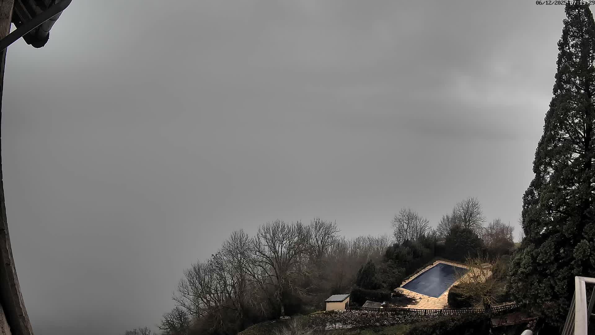 Under a uniformly overcast, gray sky, an outdoor scene reveals a tall, dark evergreen tree on the right, overlooking a hillside dotted with bare deciduous trees, a small shed, and a covered swimming pool with light-colored paving.