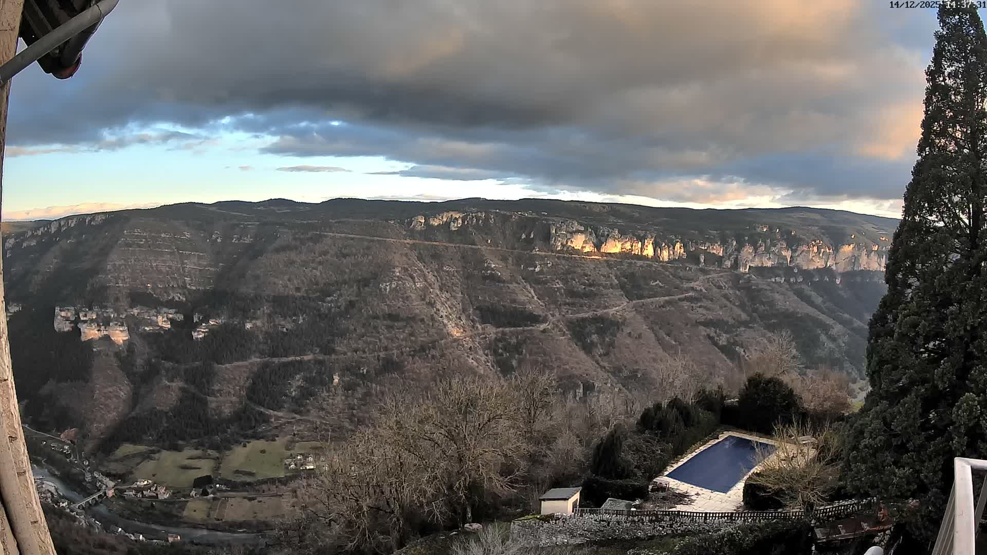 Under a uniformly overcast, gray sky, an outdoor scene reveals a tall, dark evergreen tree on the right, overlooking a hillside dotted with bare deciduous trees, a small shed, and a covered swimming pool with light-colored paving.