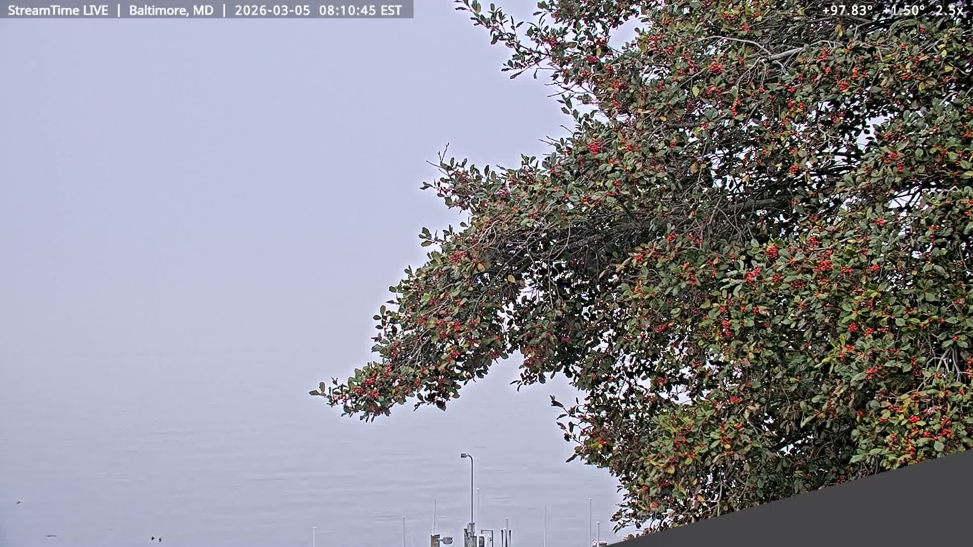 Baltimore Silhouette & Brandon Shores Power Plant Pier  from Fort Smallwood Park Live Cam - Pasadena, Anne Arundel, Maryland, USA