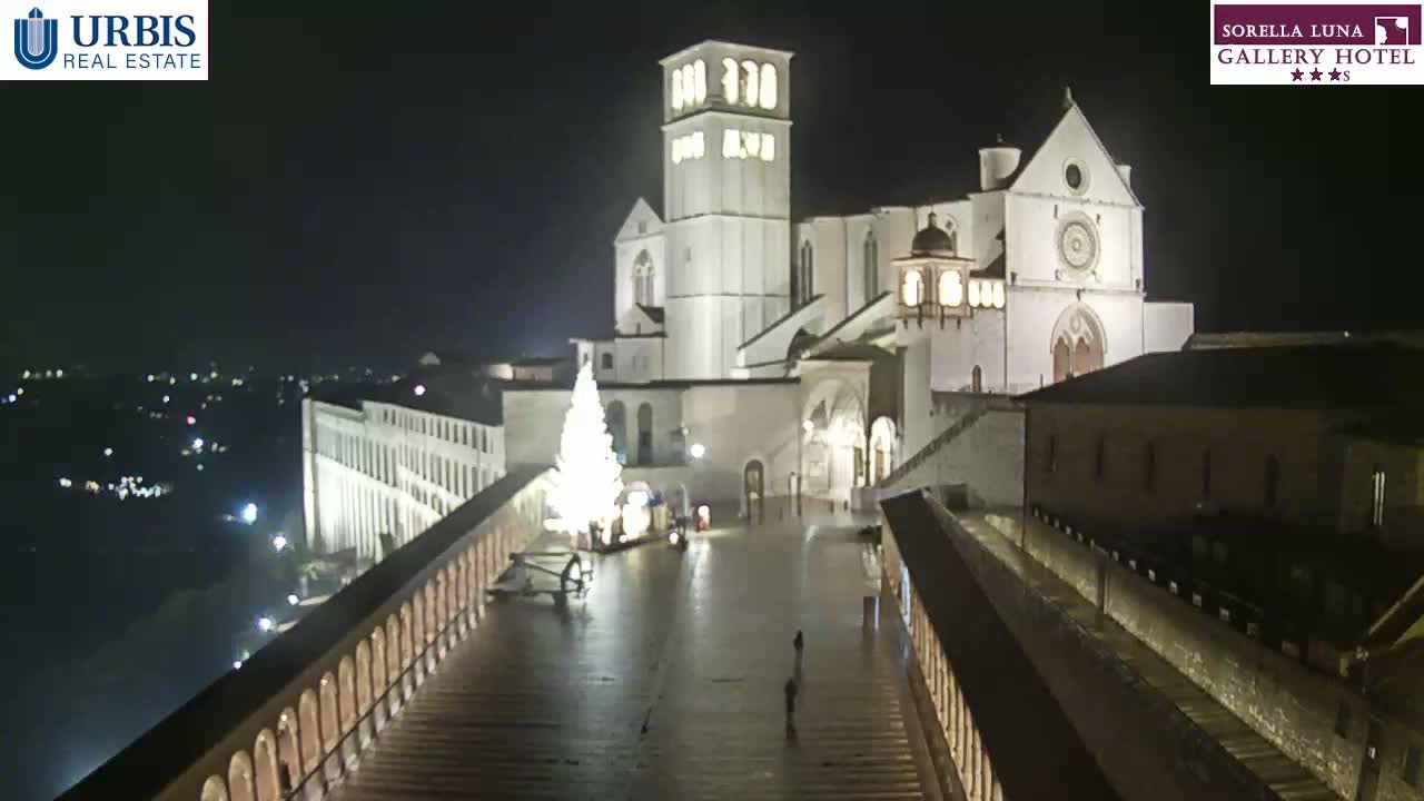 A large, illuminated basilica stands at night, a Christmas tree is visible in the foreground, and a few people walk along a paved pathway.