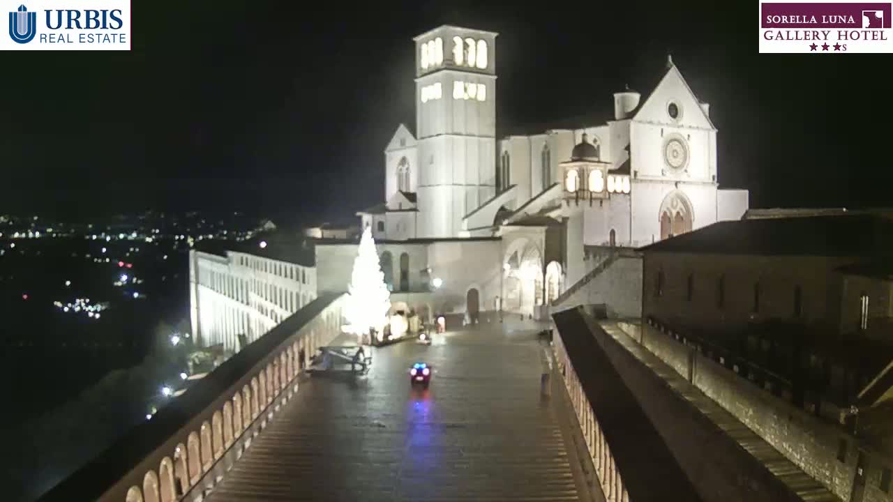 A large, illuminated basilica stands at night, a Christmas tree sits in the square before it, and a vehicle is visible on a wet, stone path leading toward the building.