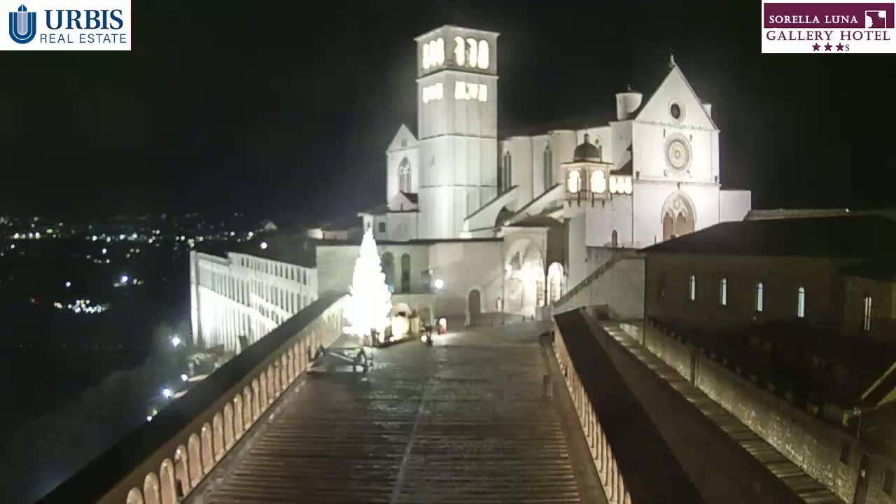A brightly lit basilica stands at night, with a Christmas tree in the foreground and a city visible in the distance under a clear, dark sky.