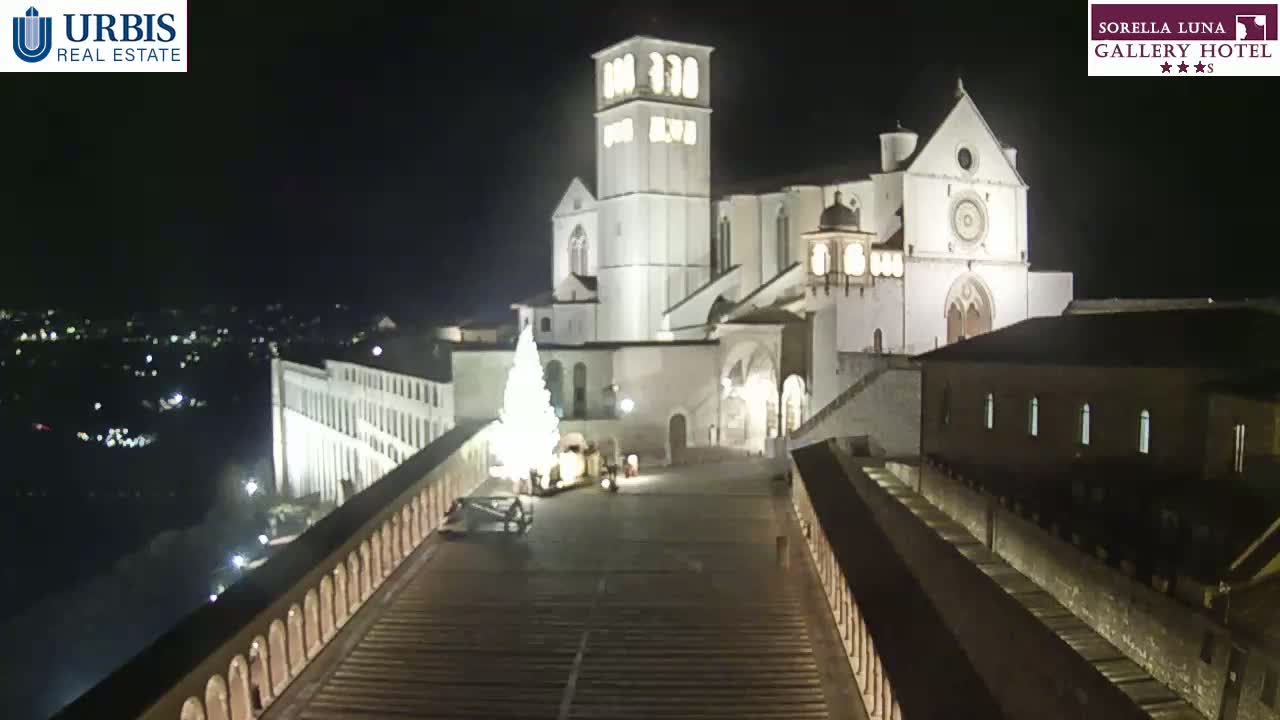 A large, illuminated basilica stands at night, with a Christmas tree in the foreground and a city view in the distance.