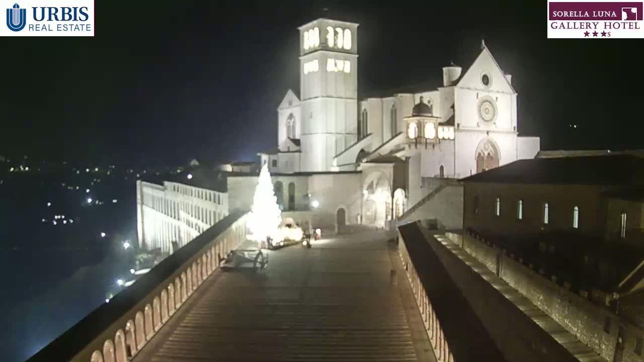 A large, illuminated basilica stands at night, a Christmas tree situated in the foreground, all viewed from an elevated vantage point overlooking a city.