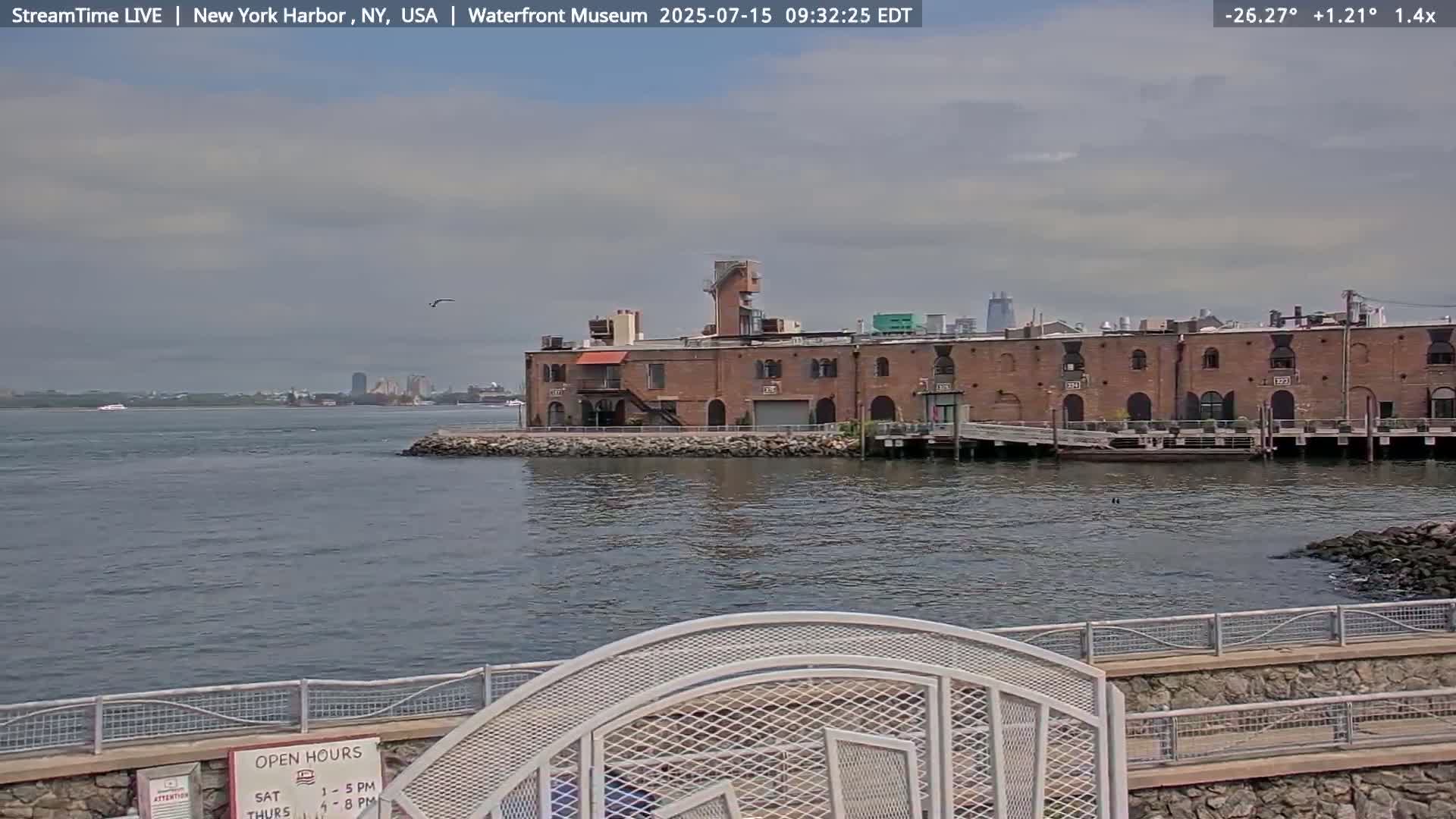 New York City Silhouette& Statue of Liberty View  from New York Bay Live Cam - Brooklyn, New York City, New York, USA
