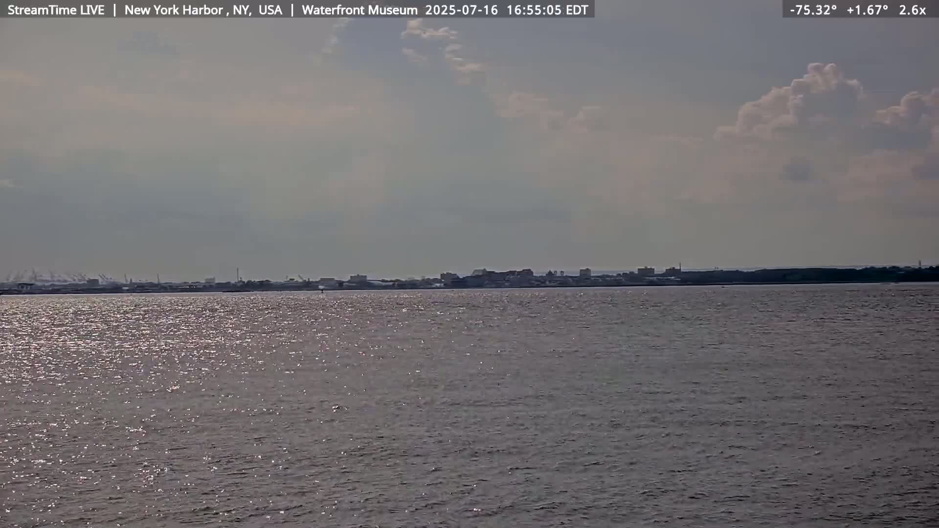 New York City Silhouette& Statue of Liberty View  from New York Bay Live Cam - Brooklyn, New York City, New York, USA