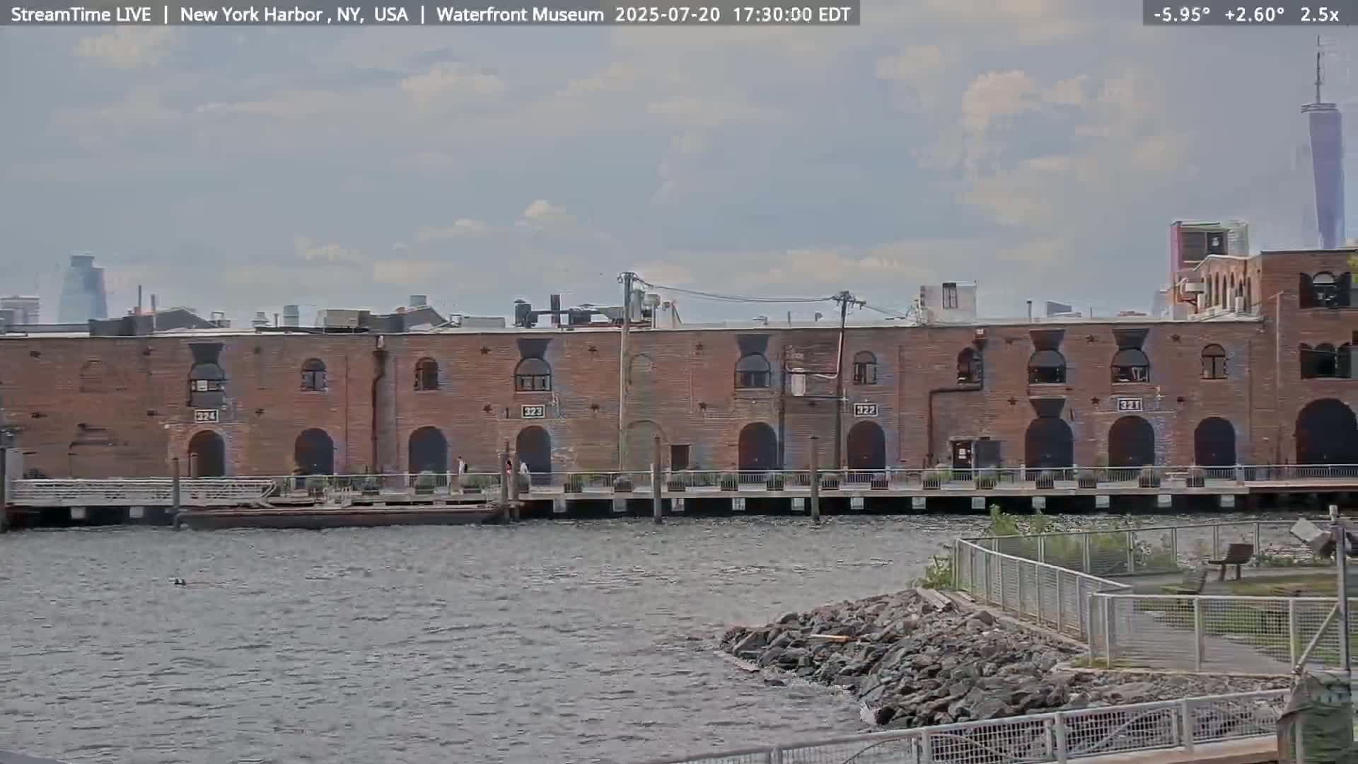 New York City Silhouette& Statue of Liberty View  from New York Bay Live Cam - Brooklyn, New York City, New York, USA