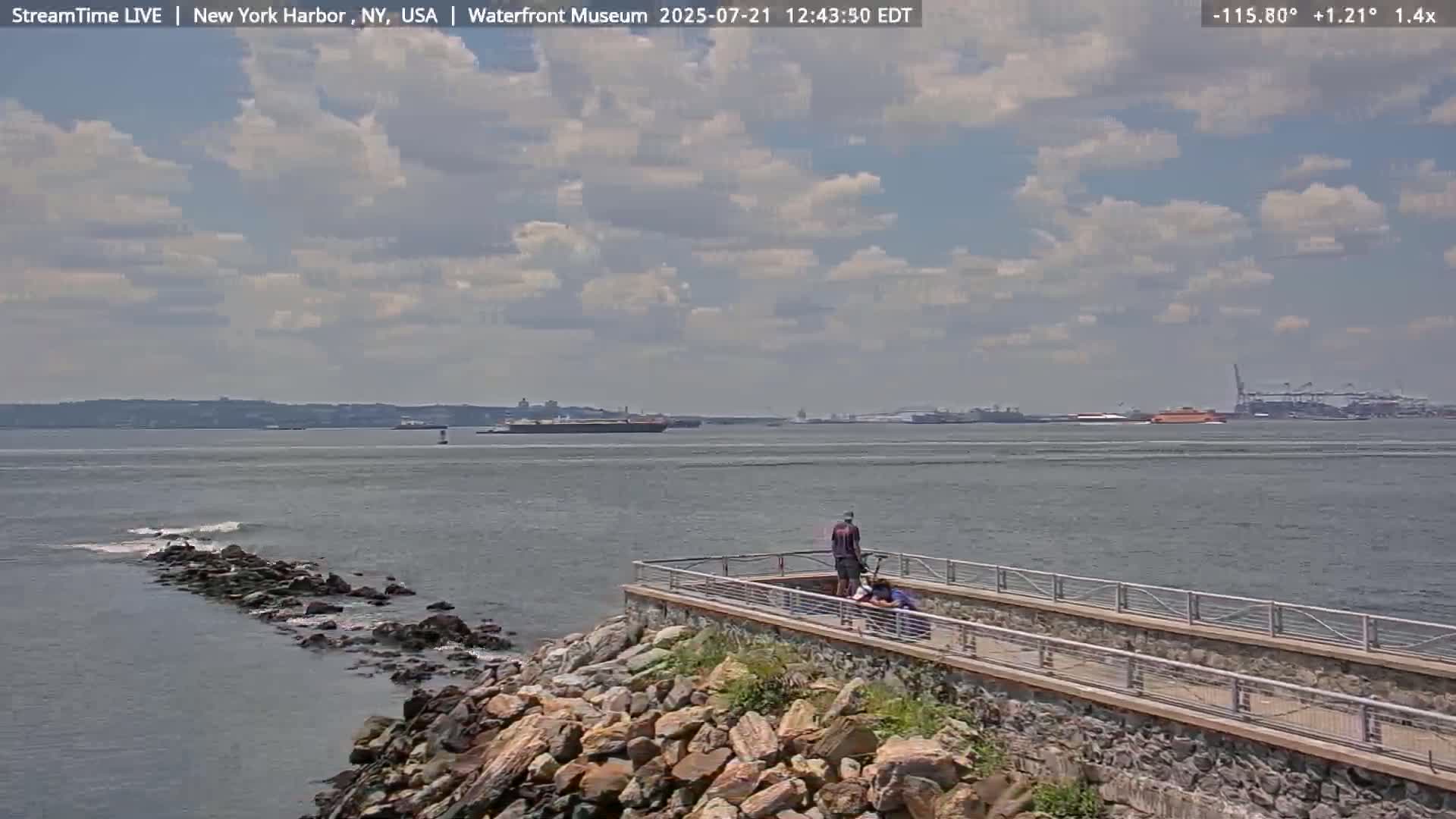 New York City Silhouette& Statue of Liberty View  from New York Bay Live Cam - Brooklyn, New York City, New York, USA