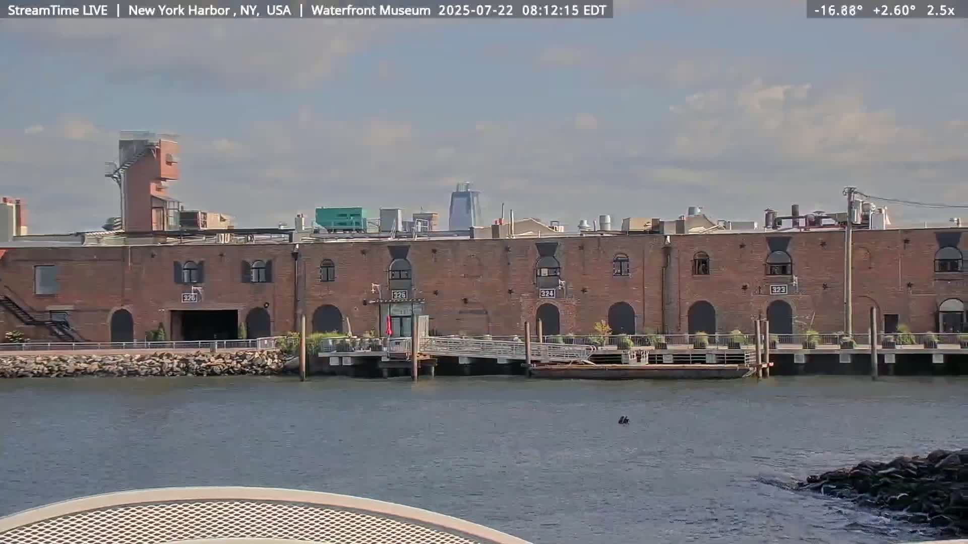 New York City Silhouette& Statue of Liberty View  from New York Bay Live Cam - Brooklyn, New York City, New York, USA