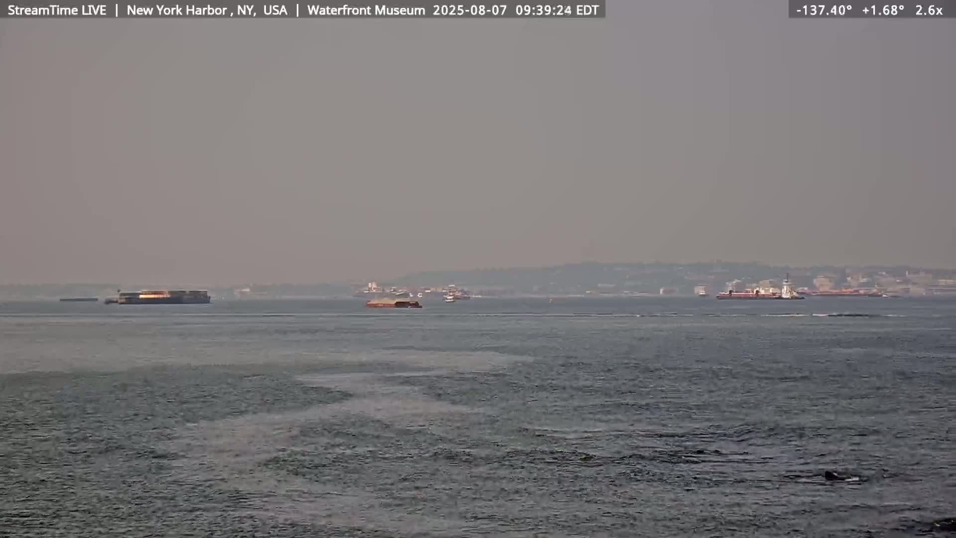 New York City Silhouette& Statue of Liberty View  from New York Bay Live Cam - Brooklyn, New York City, New York, USA