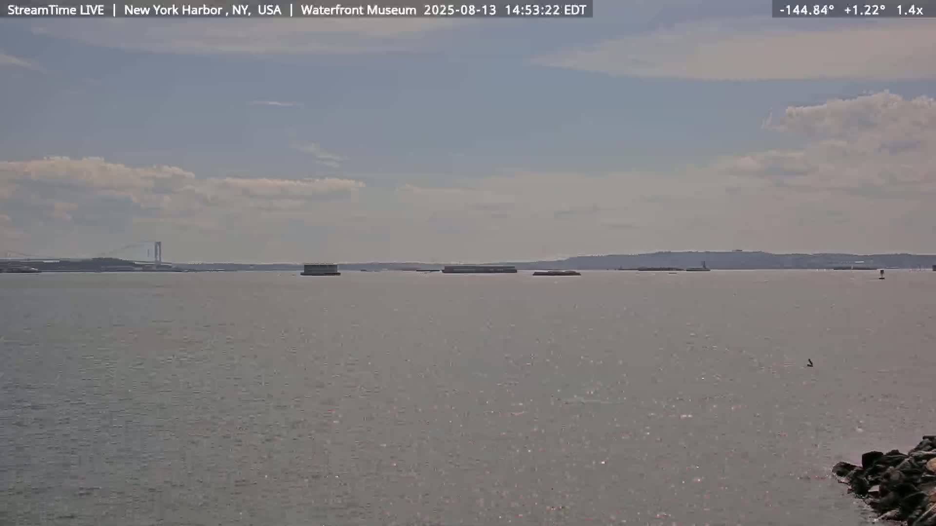 New York City Silhouette& Statue of Liberty View  from New York Bay Live Cam - Brooklyn, New York City, New York, USA