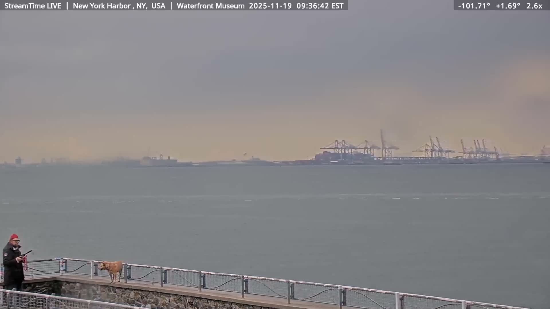 New York City Silhouette& Statue of Liberty View  from New York Bay Live Cam - Brooklyn, New York City, New York, USA