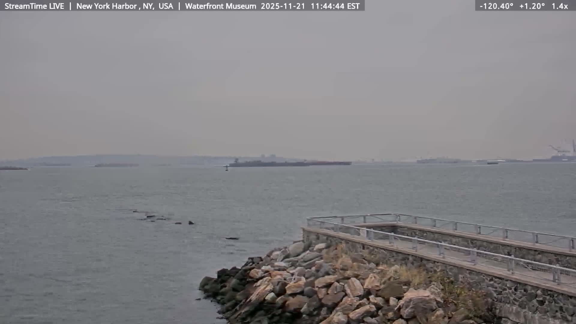 New York City Silhouette& Statue of Liberty View  from New York Bay Live Cam - Brooklyn, New York City, New York, USA