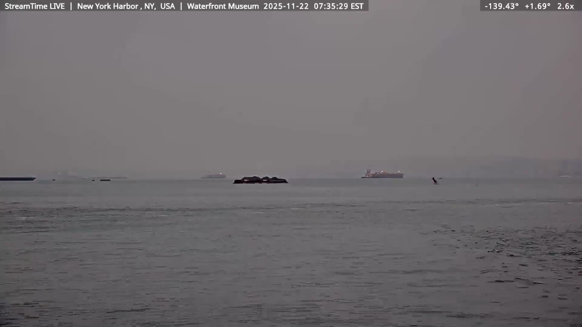New York City Silhouette& Statue of Liberty View  from New York Bay Live Cam - Brooklyn, New York City, New York, USA