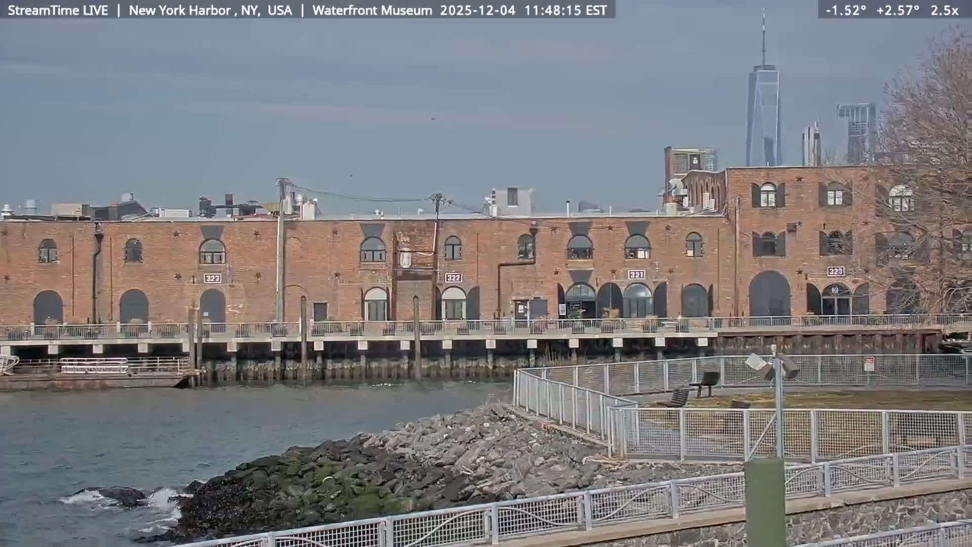 New York City Silhouette& Statue of Liberty View  from New York Bay Live Cam - Brooklyn, New York City, New York, USA